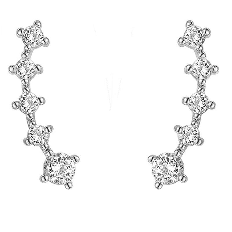 Bohemian S925 Diamond Earrings Feminine Wings
