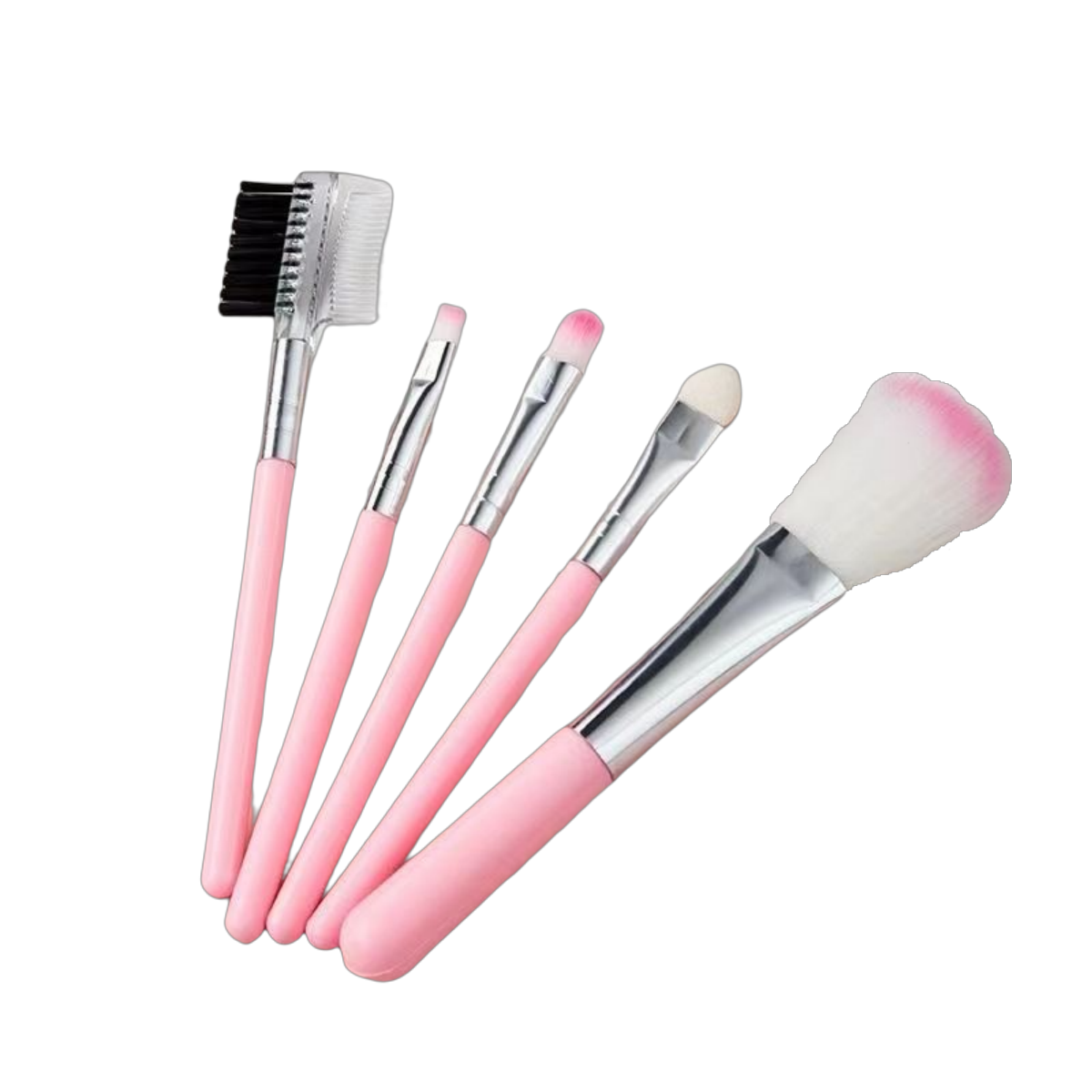 Soft Hair Portable Small 5 Piece Makeup Brush Set Blush Brush Eye Shadow Brush Full Set of Beauty Tools