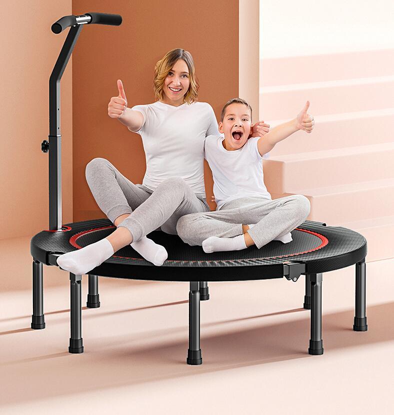 Mini Trampoline for Adults; Safety Indoor Rebounder Trampoline for Kids; Folding Small Trampoline with Storage Bag for Home Exercise Fitness; Max L