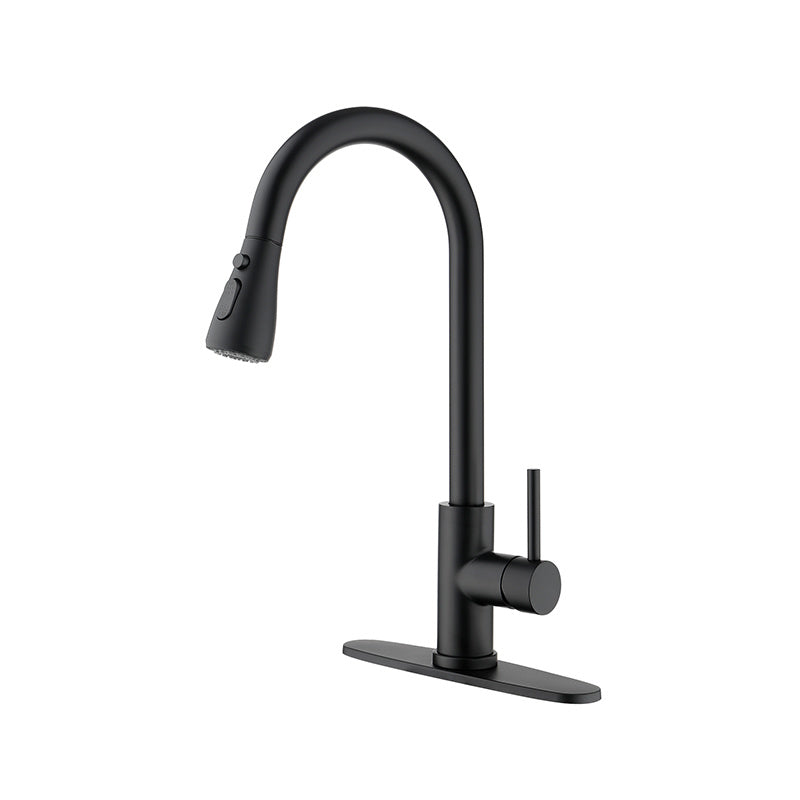 Commercial Modern Stainless Steel Kitchen Faucets