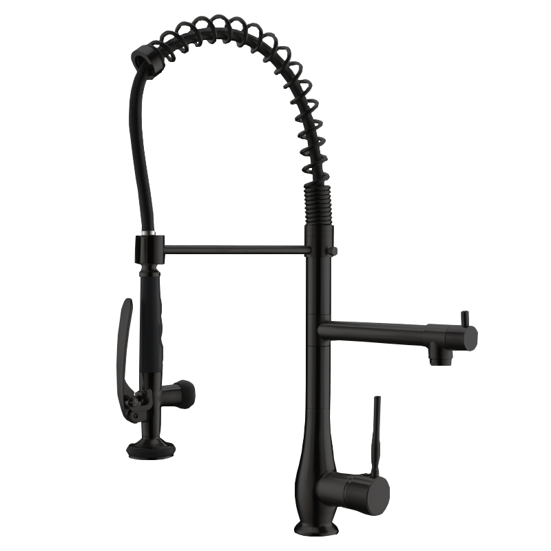 Single Handle Standard Pull Down Kitchen Faucet Spray in Black