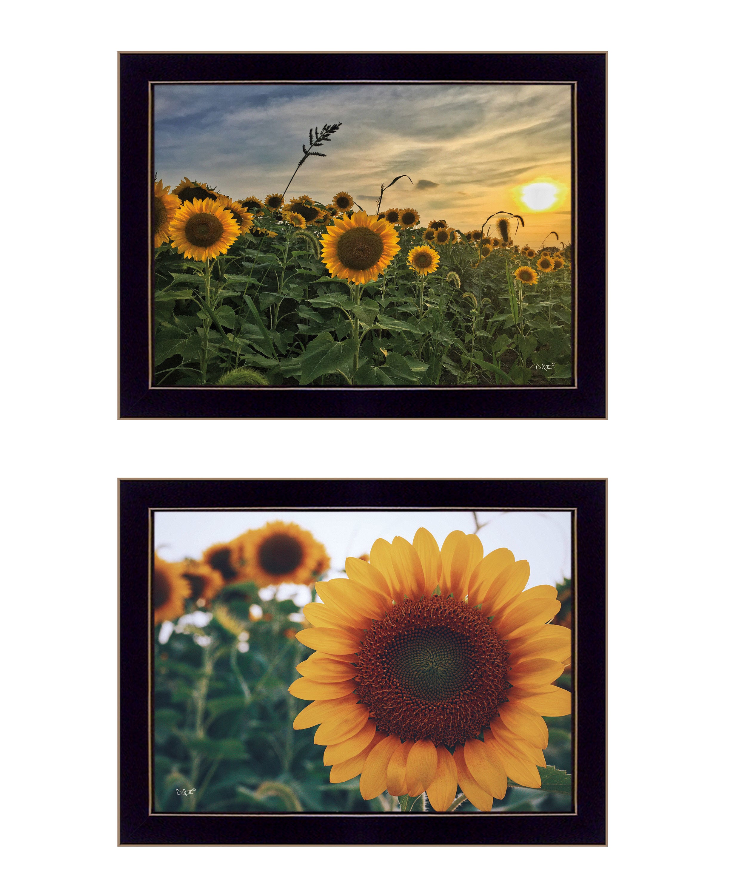 "Midwest Living Collection" 2-Piece Vignette By Donnie Quillen, Ready to Hang Framed Print, Black Frame