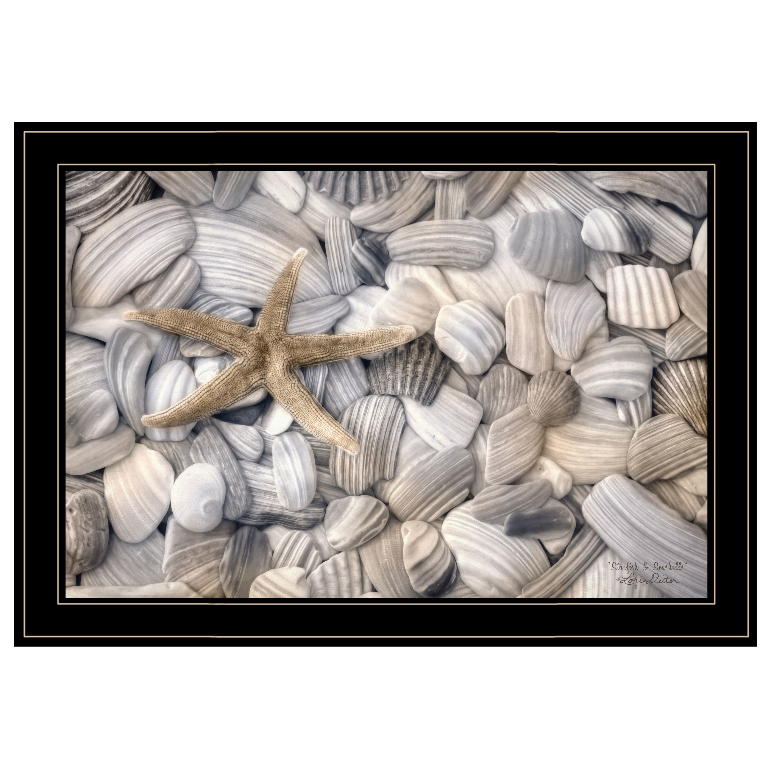 "Starfish & Seashells" By Lori Deiter, Ready to Hang Framed Print, Black Frame