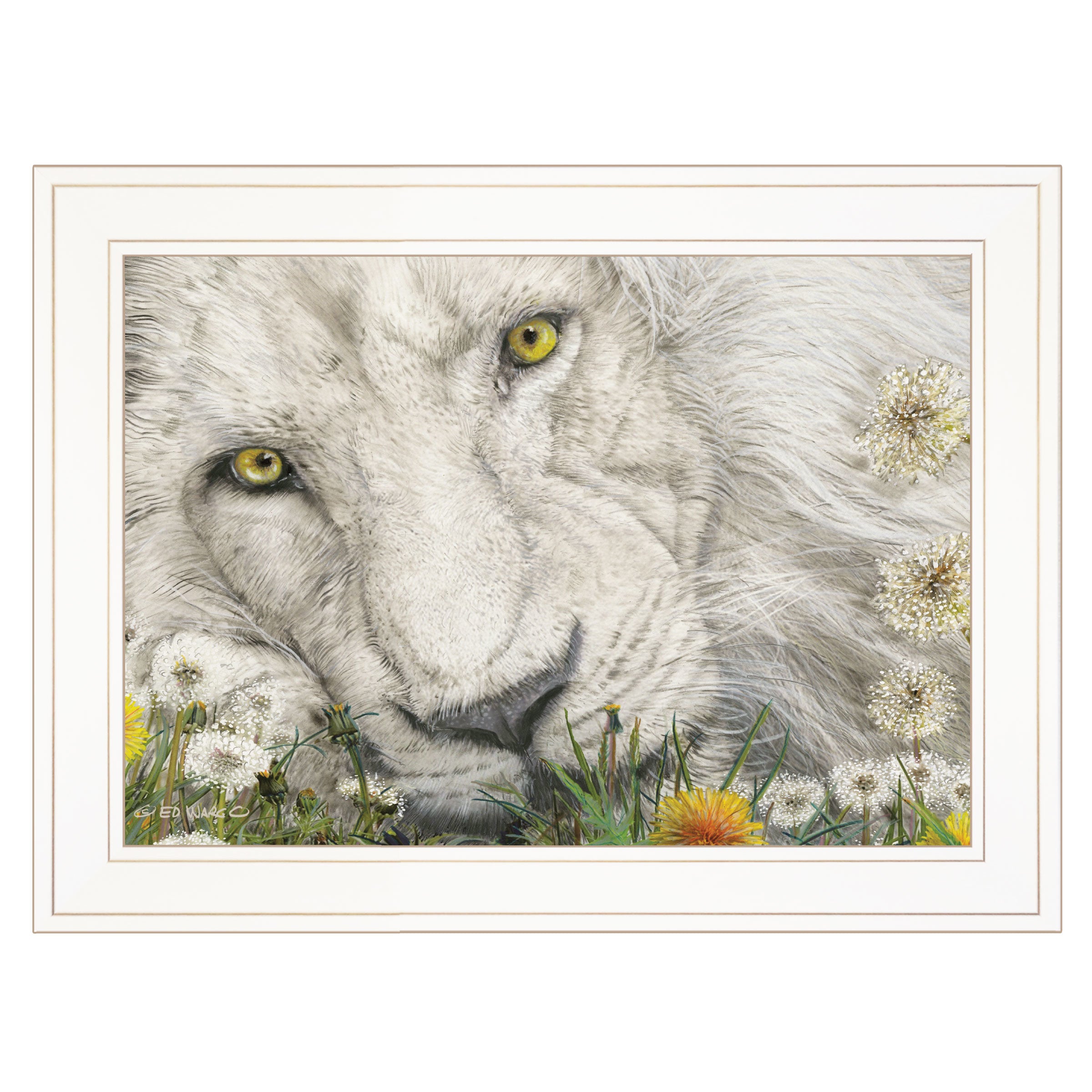 "Dandy Lion" By Ed Wargo, Ready to Hang Framed Print, White Frame