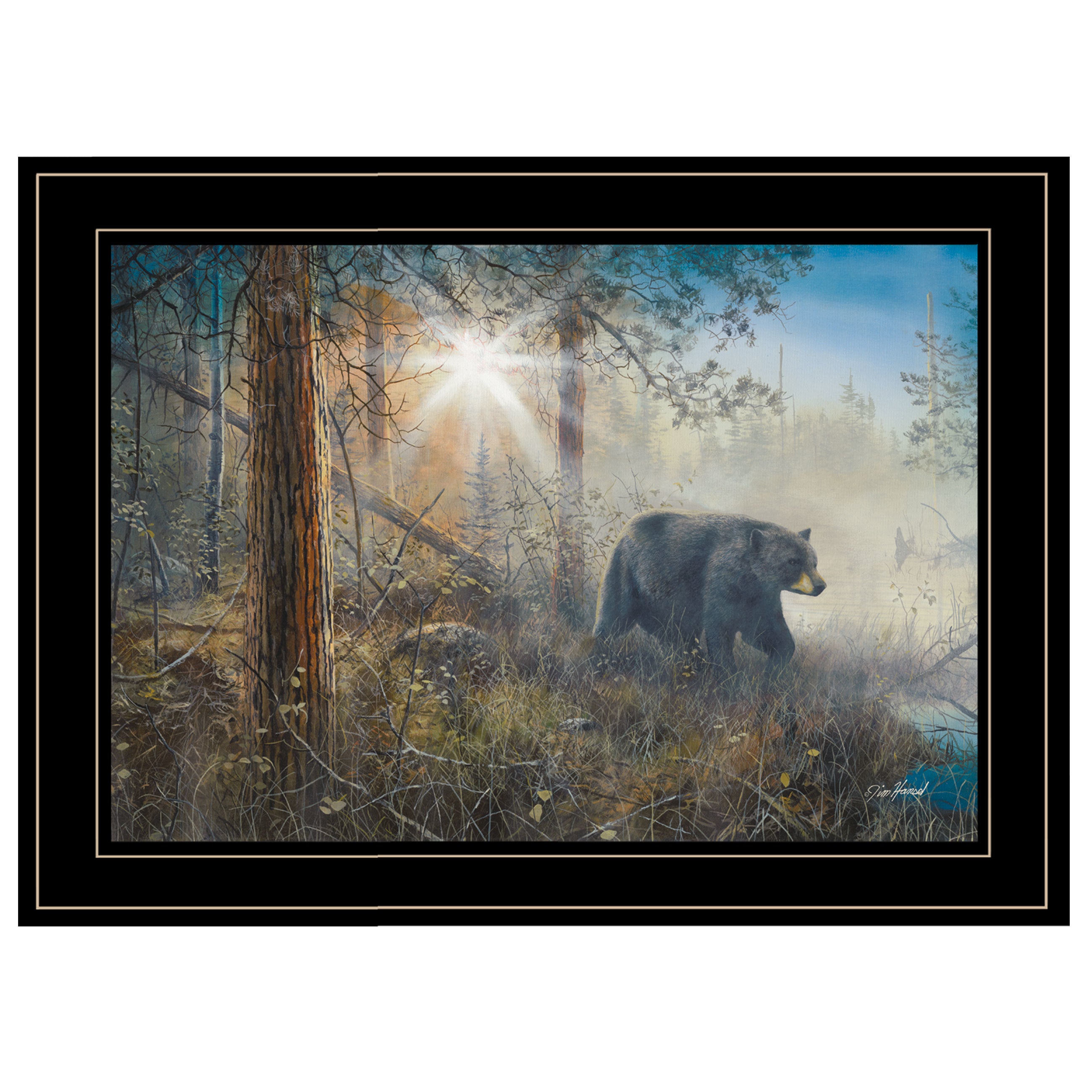 "Shadow in the Mist Collection" By Jim Hansen,, Ready to Hang Framed Print, Black Frame