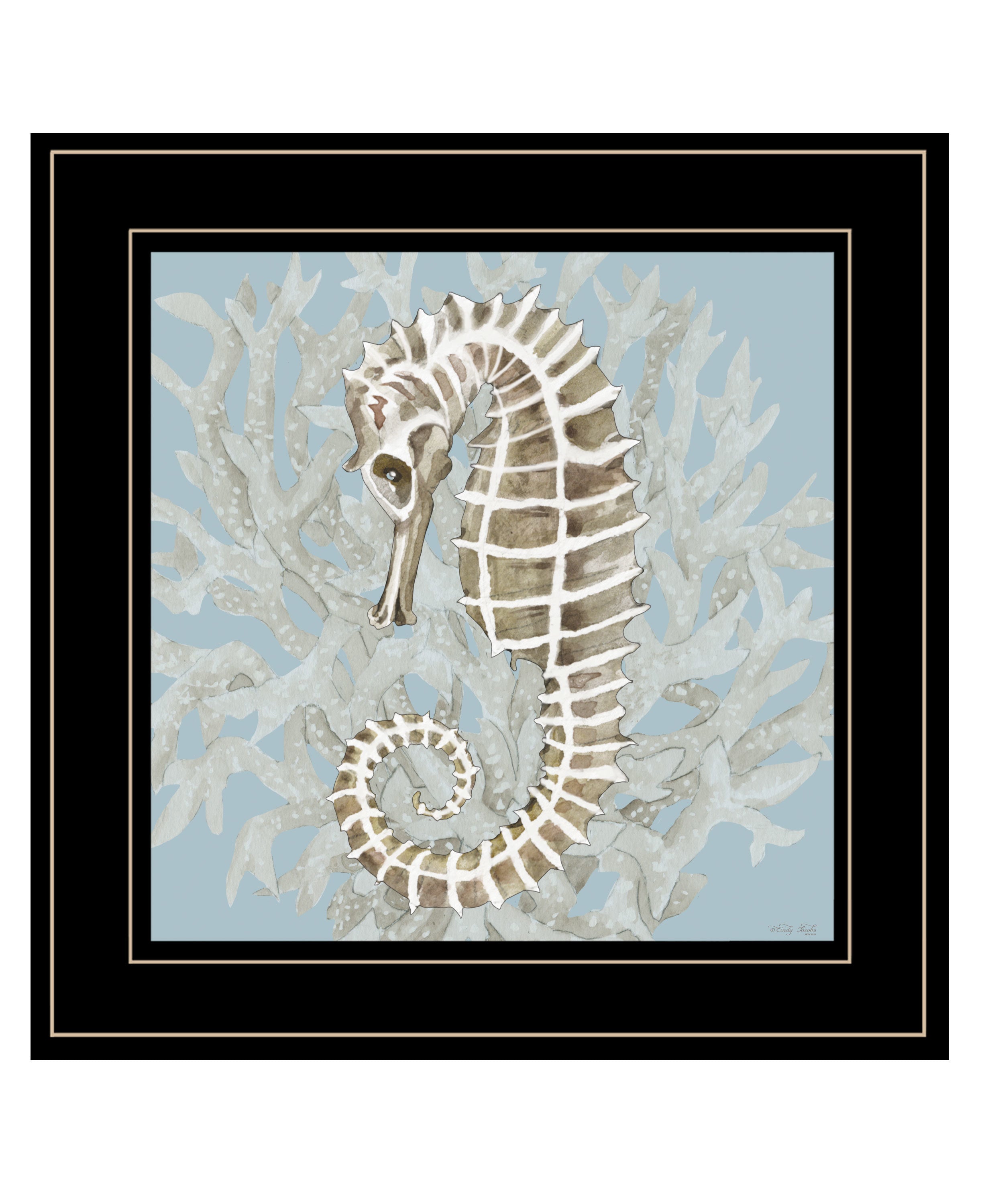"Coral Seahorse II" by Cindy Jacobs, Ready to Hang Framed Print, Black Frame