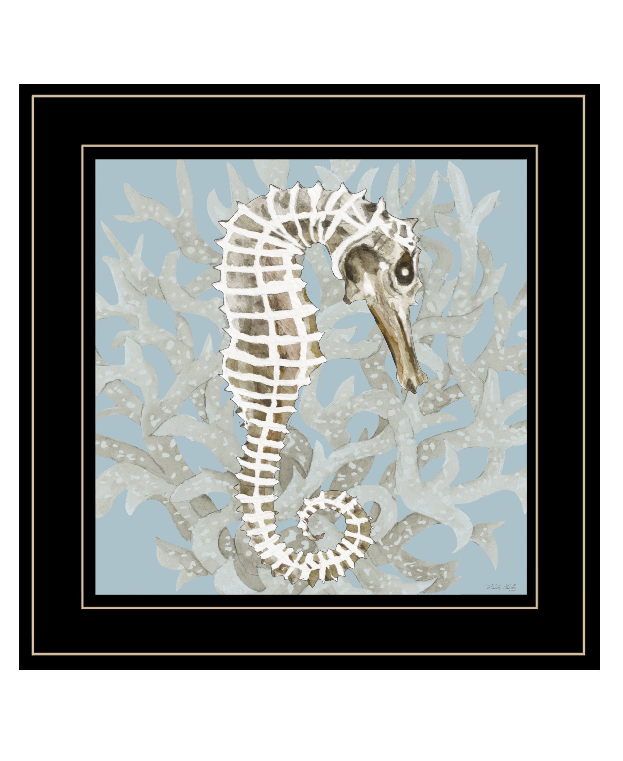 "Coral Seahorse I" by Cindy Jacobs, Ready to Hang Framed Print, Black Frame