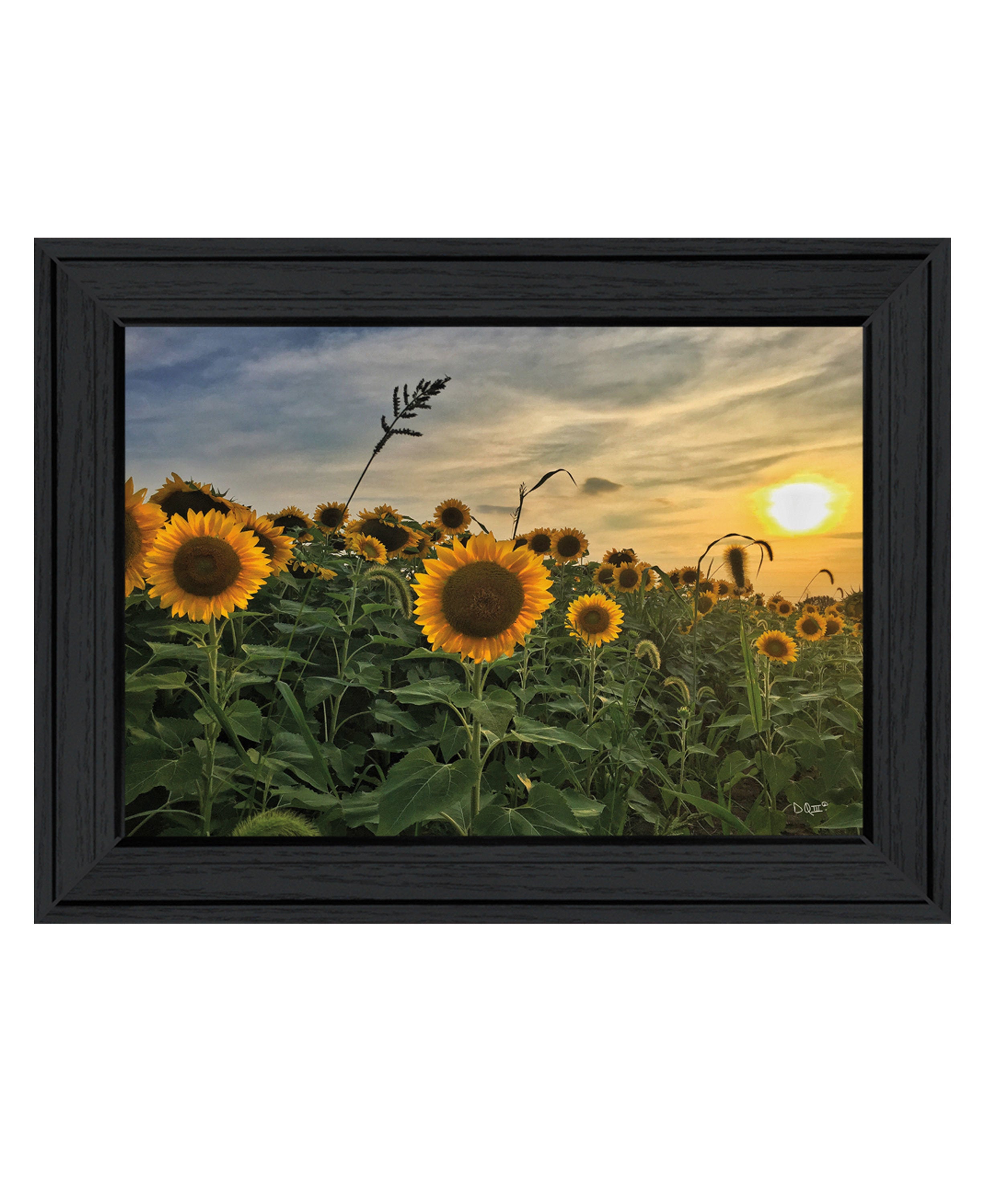 "Midwest Livin' I" by Donnie Quillen, Ready to Hang Framed Print, Black Frame