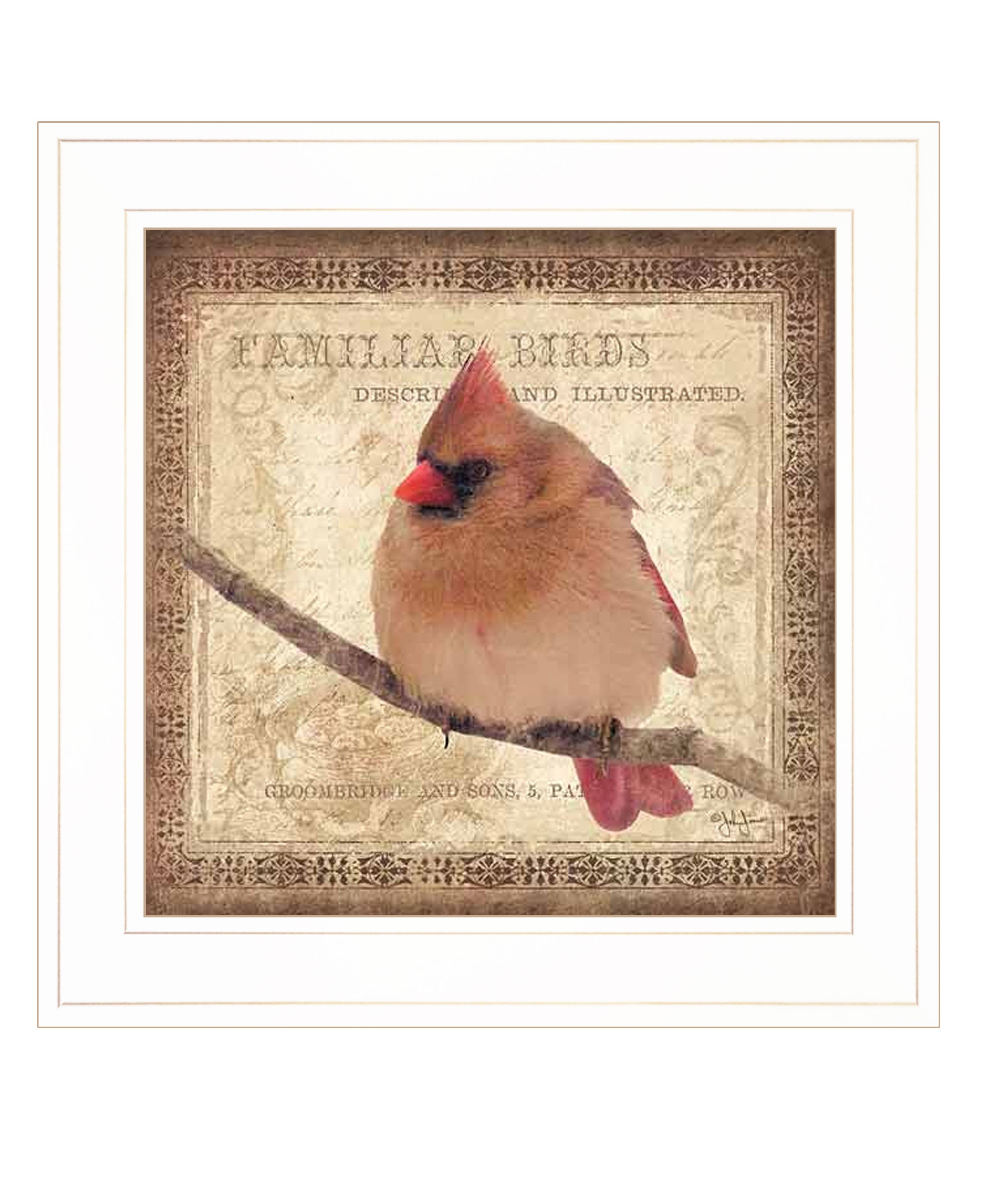 "Female Cardinal" by Artisan John Jones, Ready to Hang Framed Print, White Frame