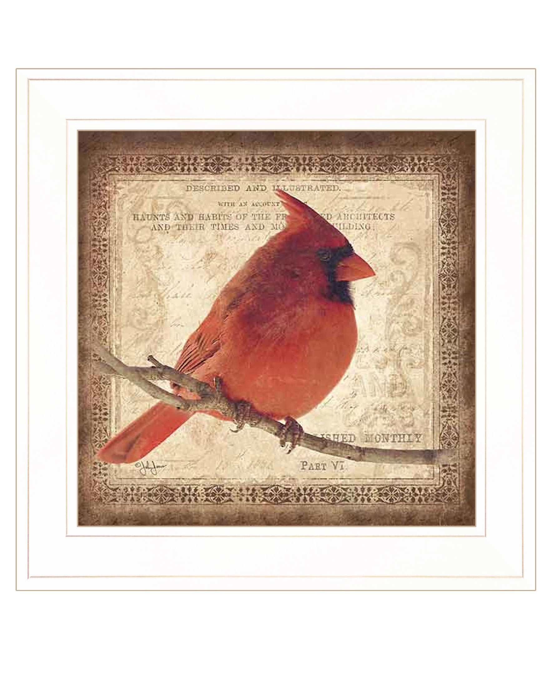 "Male Cardinal" by Artisan John Jones, Ready to Hang Framed Print, White Frame