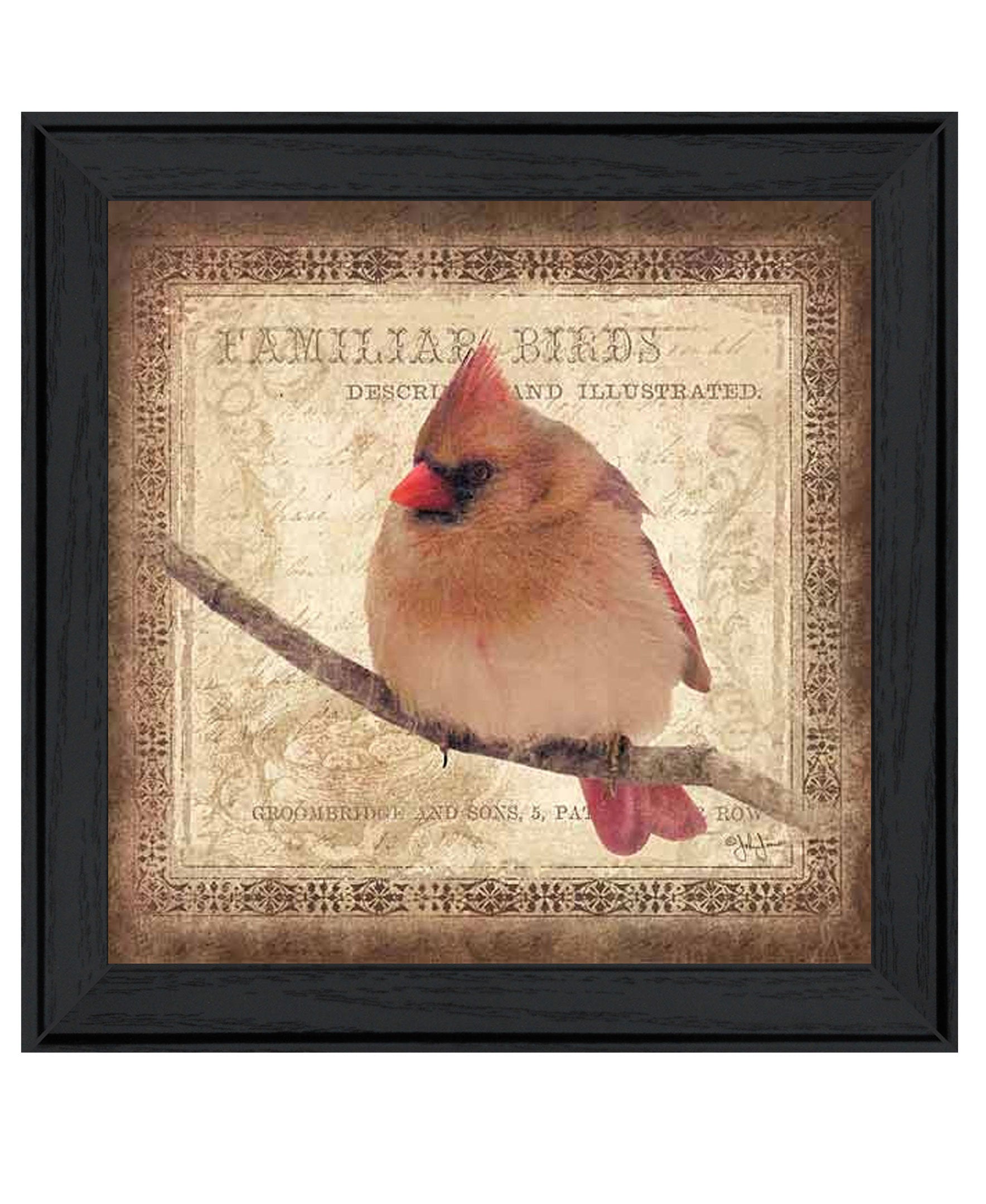 "Female Cardinal" by Artisan John Jones, Ready to Hang Framed Print, Black Frame