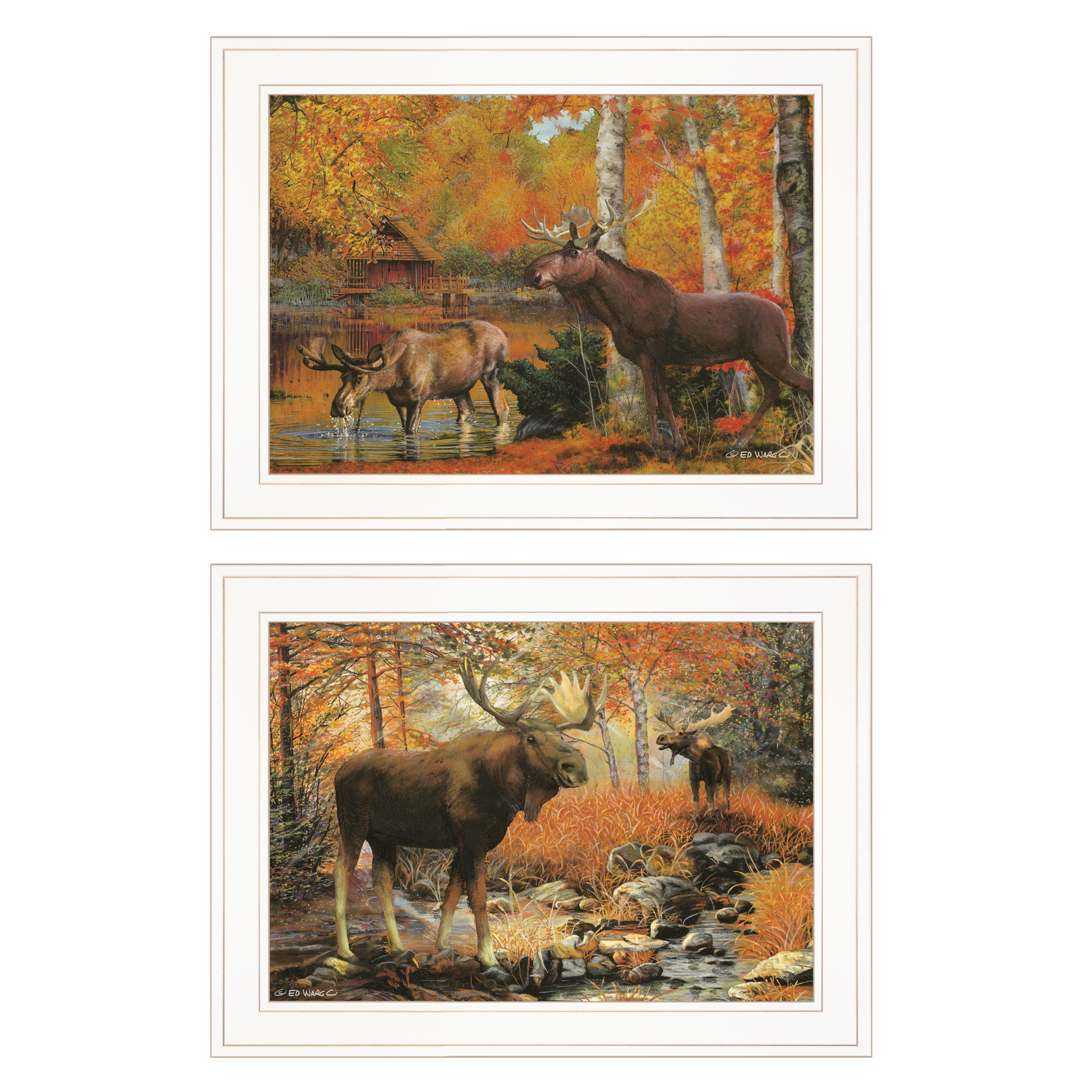 "Call of the Wild" 2-Piece Vignette By Ed Wargo, Ready to Hang Framed Print, White Frame