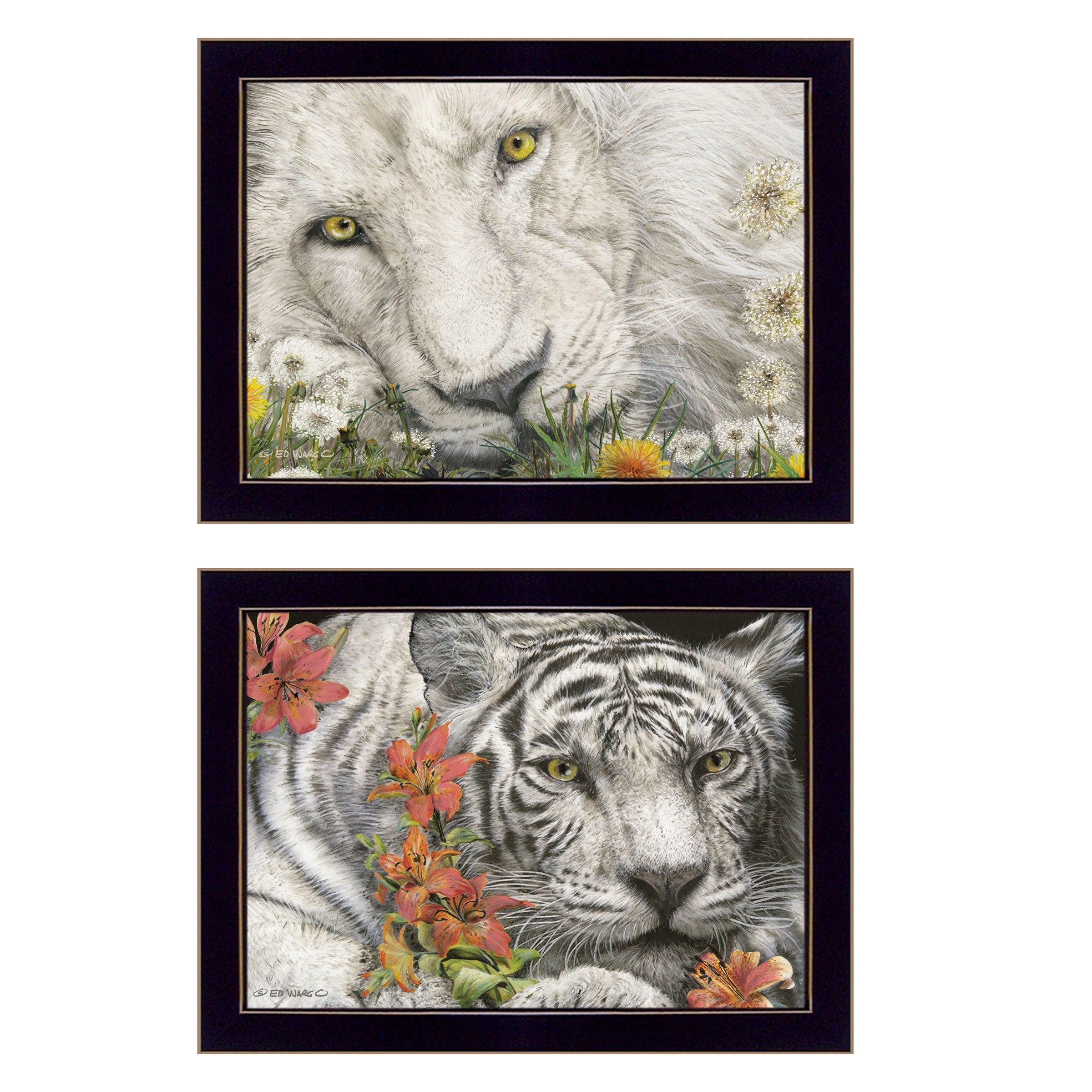 "Tiger Lily Dandy Lion" 2-Piece Vignette By Ed Wargo, Ready to Hang Framed Print, Black Frame