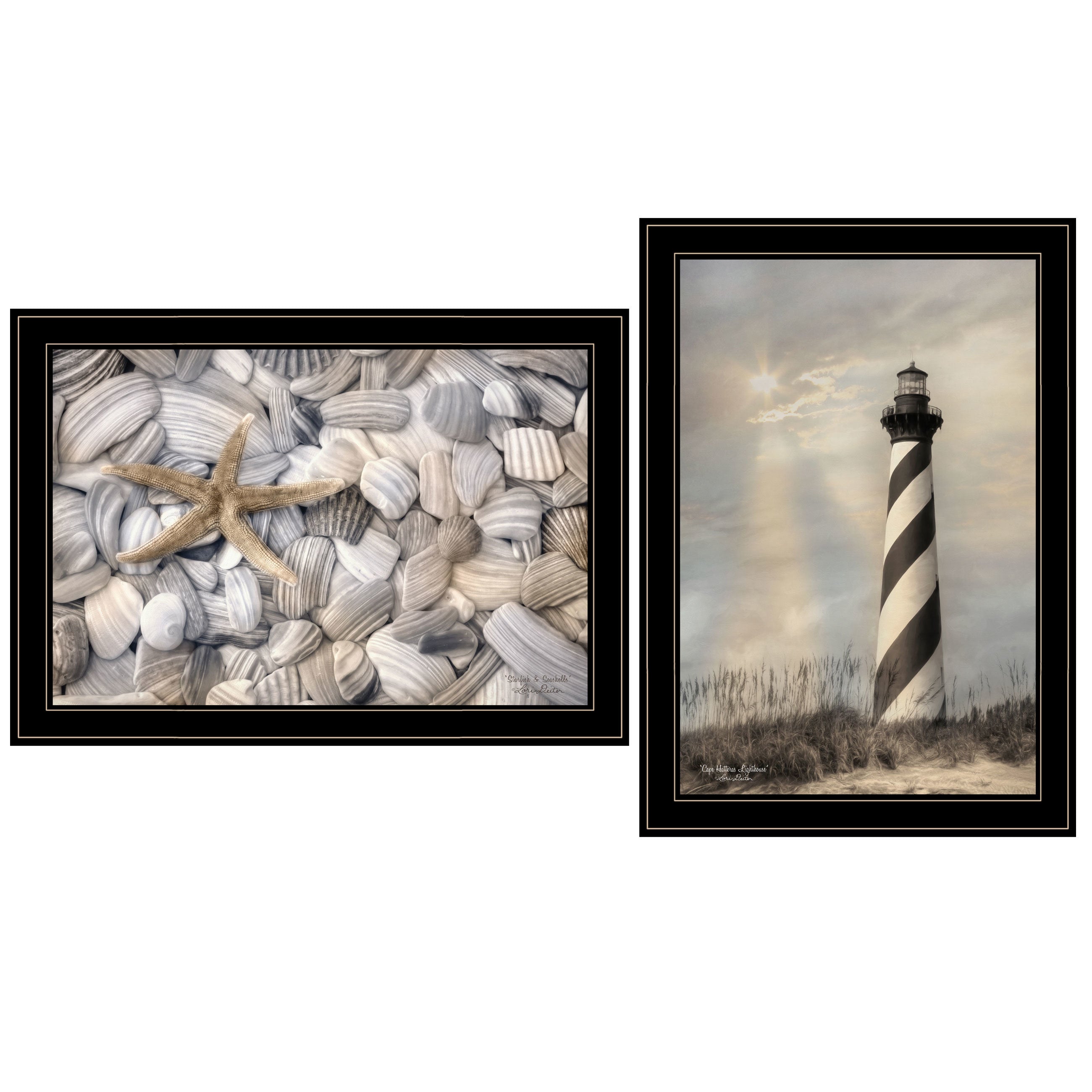 "Cape Hatteras Lighthouse and Sea Shells Collection" 2-Piece Vignette By Lori Deiter, Ready to Hang Framed Print, Black Frame