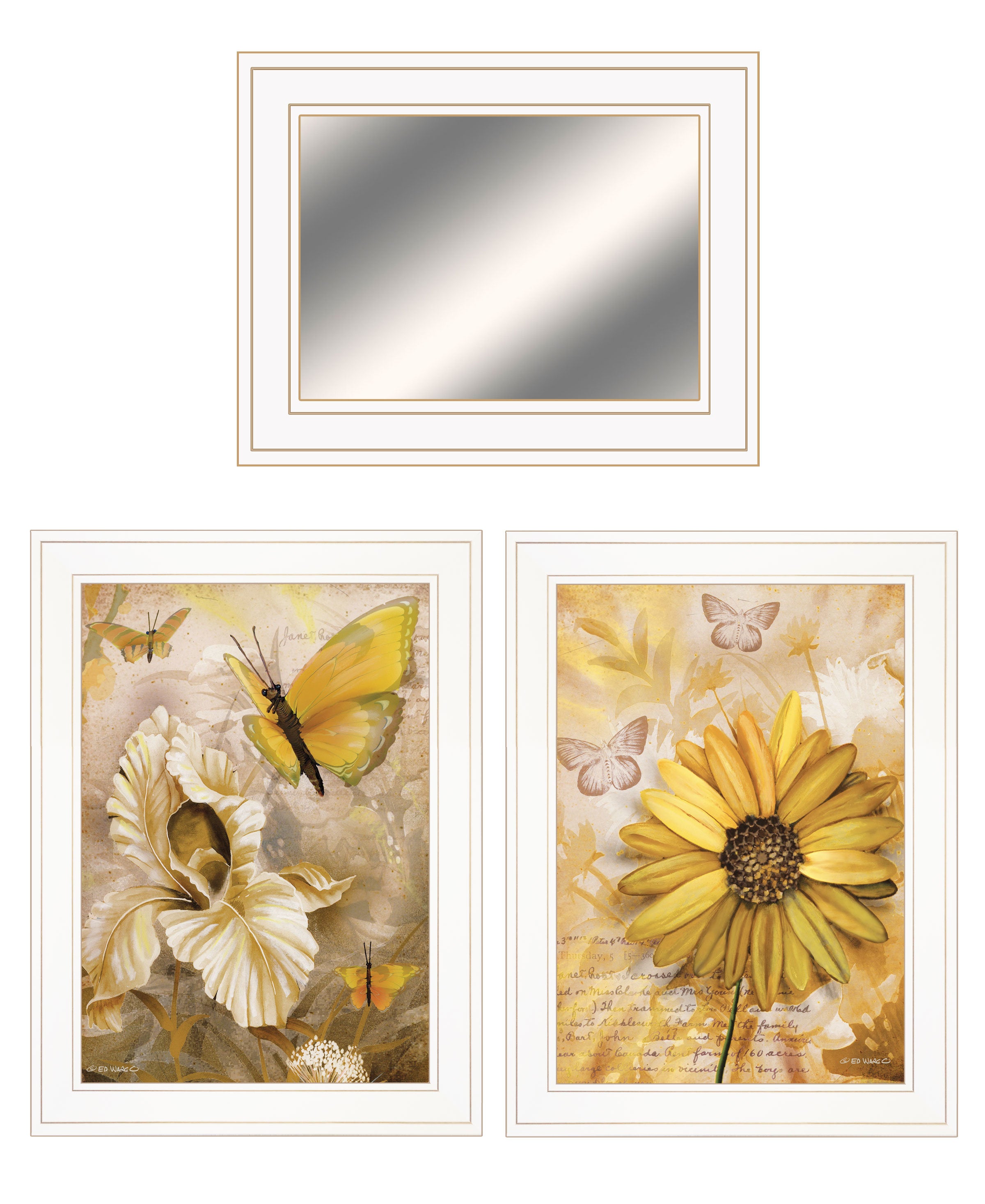 "Butterflies" 3-Piece Vignette By Ed Wargo, Ready to Hang Framed Print, White Frame
