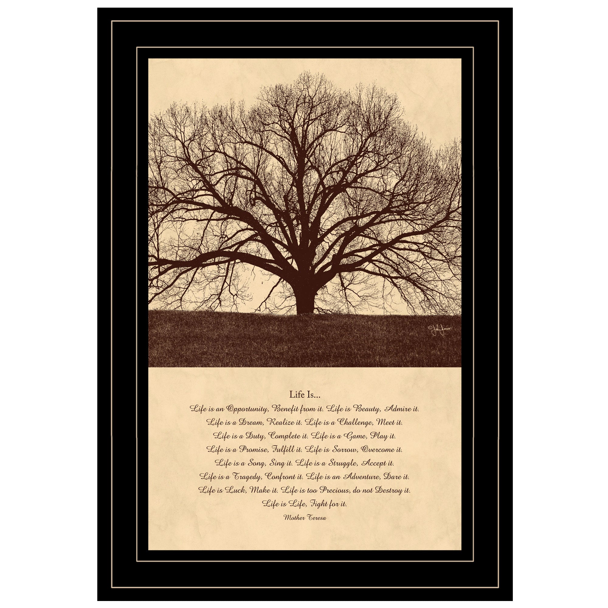 "Life Is" By John Jones, Ready to Hang Framed Print, Black Frame