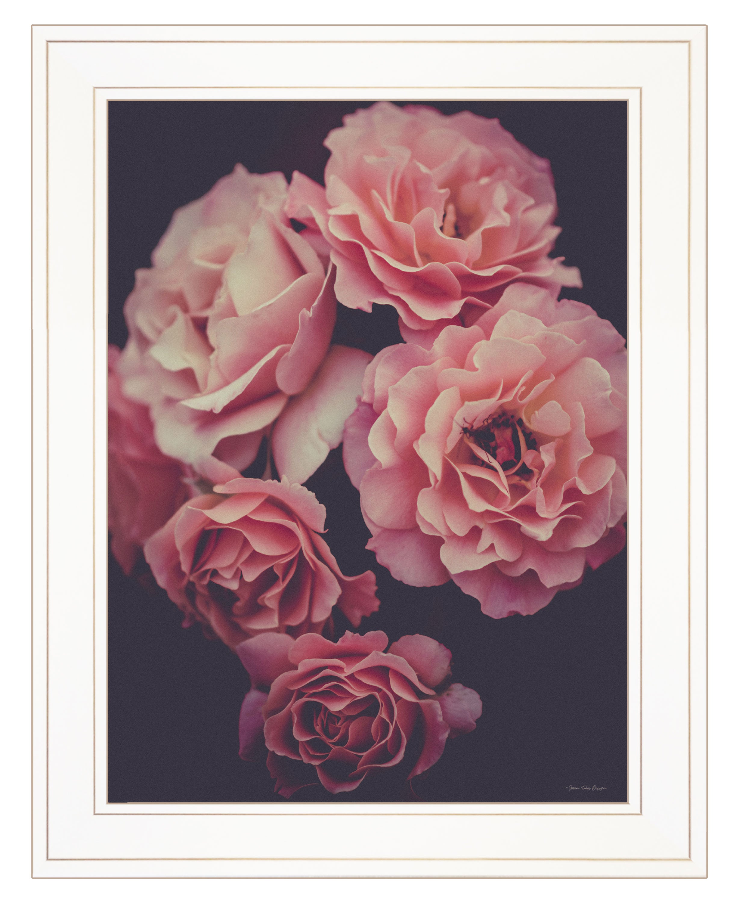 "Dreamy Rose" by Seven Trees Design, Ready to Hang Framed Print, White Frame