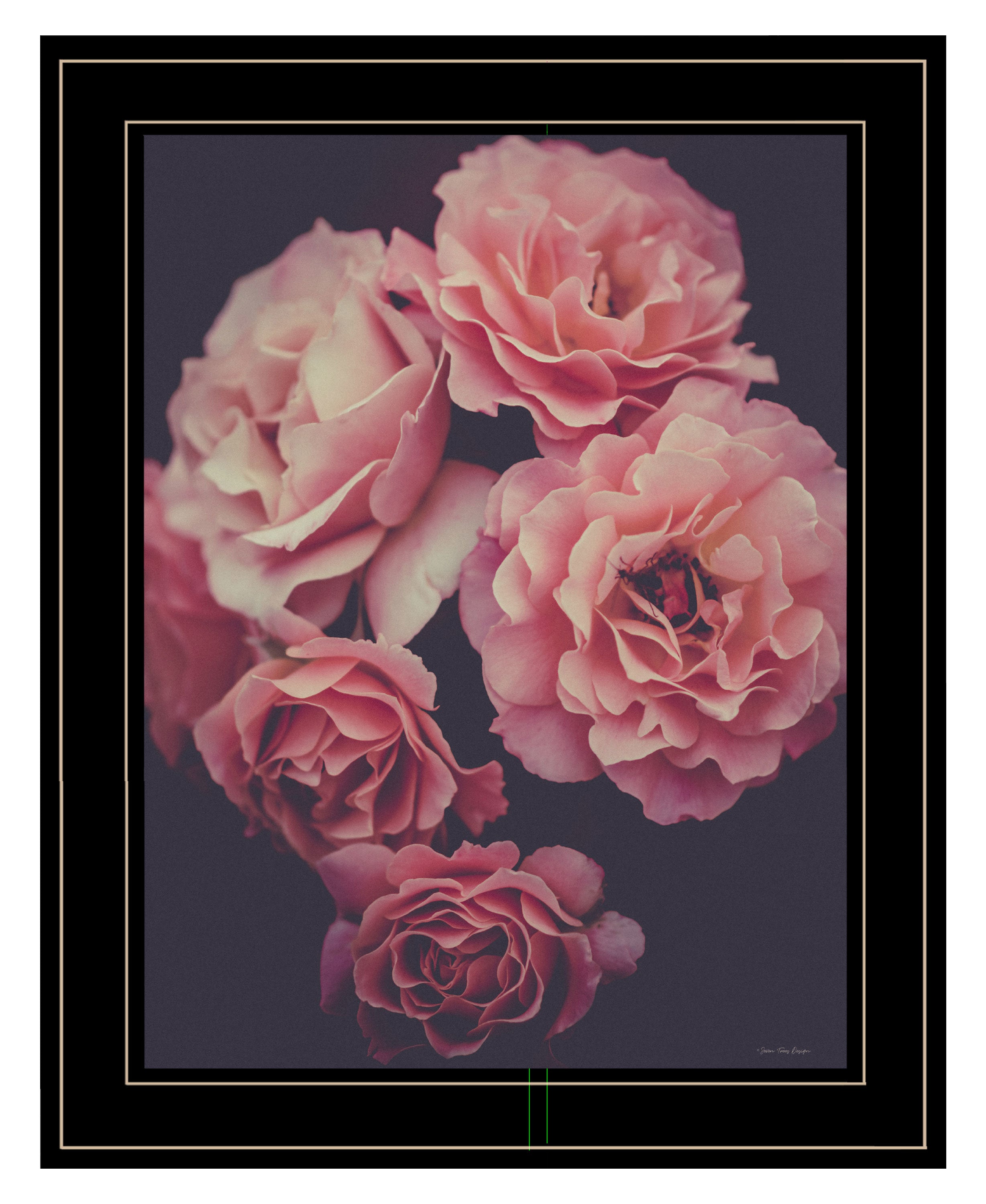 "Dreamy Rose" by Seven Trees Design, Ready to Hang Framed Print, Black Frame