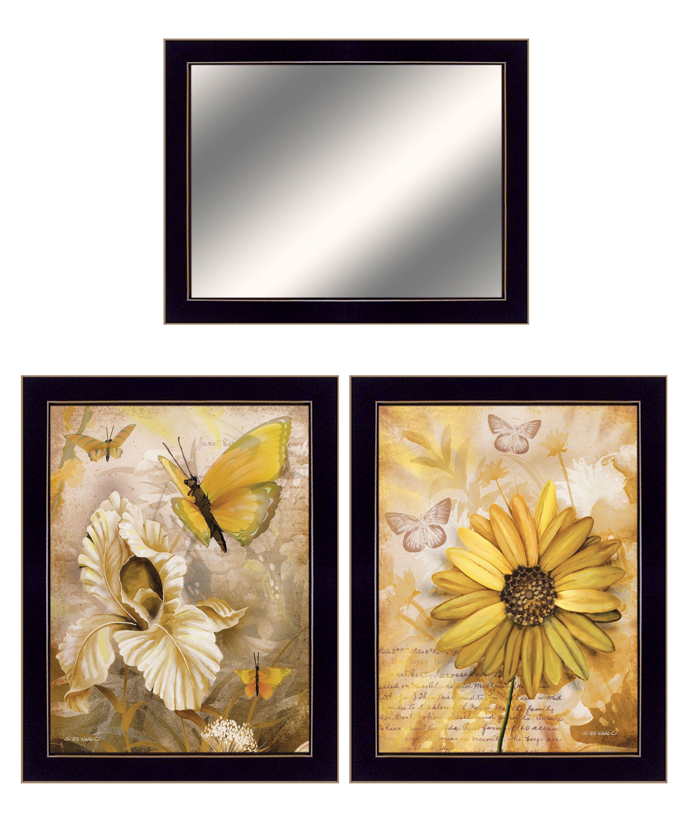 "Butterflies" 3-Piece Vignette By Ed Wargo, Ready to Hang Framed Print, Black Frame