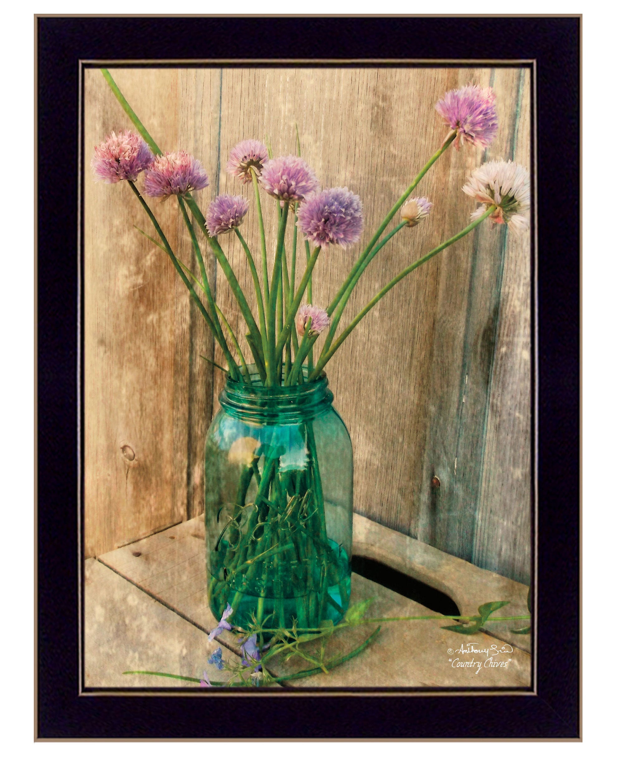 "Country Chives" by Anthony Smith, Ready to Hang Framed Print, Black Frame