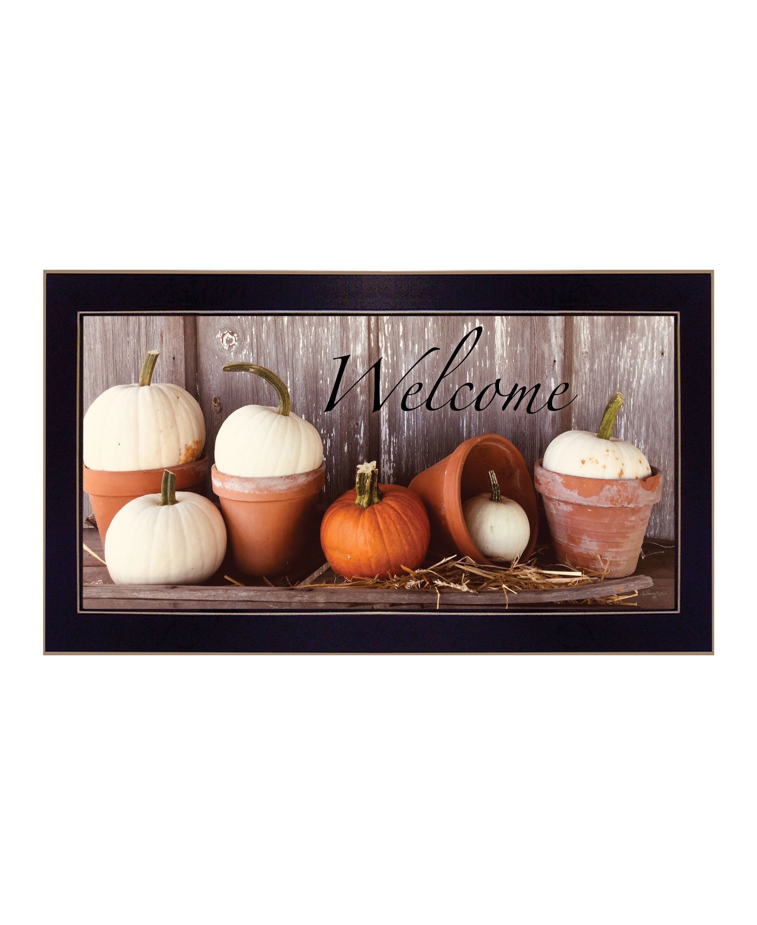 "Welcome Pumpkin Shelf" by Anthony Smith, Ready to Hang Framed Print, Black Frame