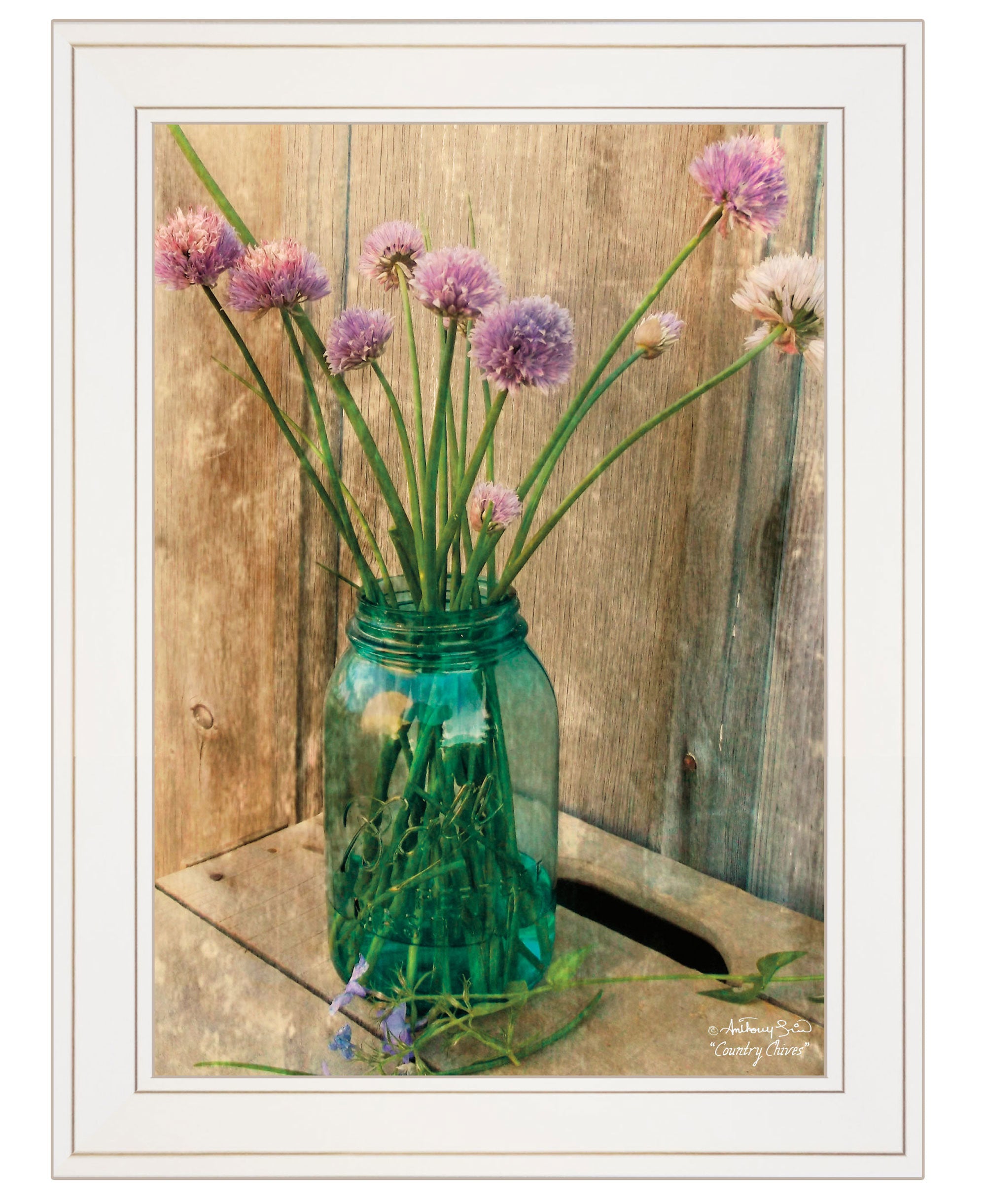 "Country Chives" by Anthony Smith, Ready to Hang Framed Print, White Frame