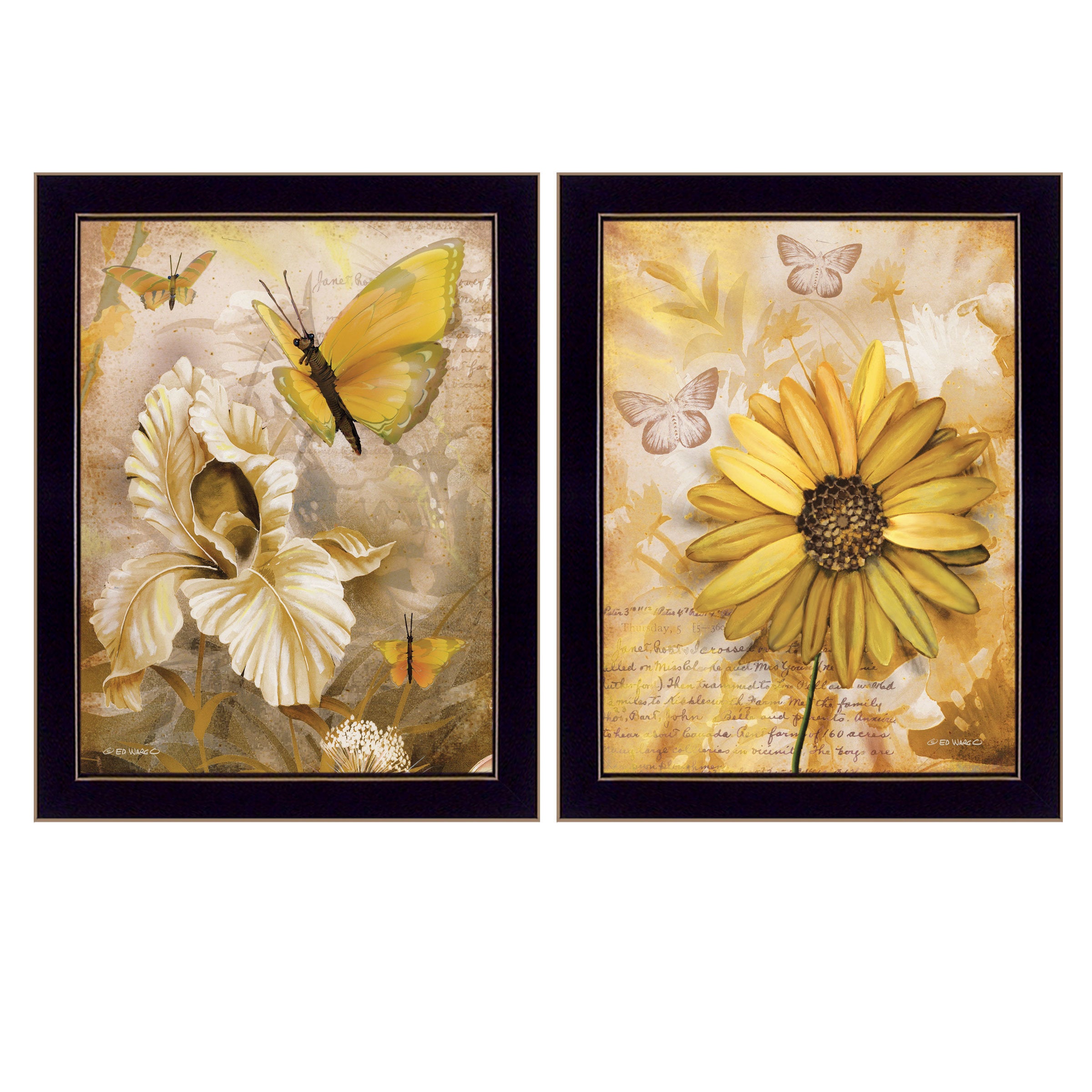 "Flowers & Butterflies" 2-Piece Vignette By Ed Wargo, Ready to Hang Framed Print, Black Frame