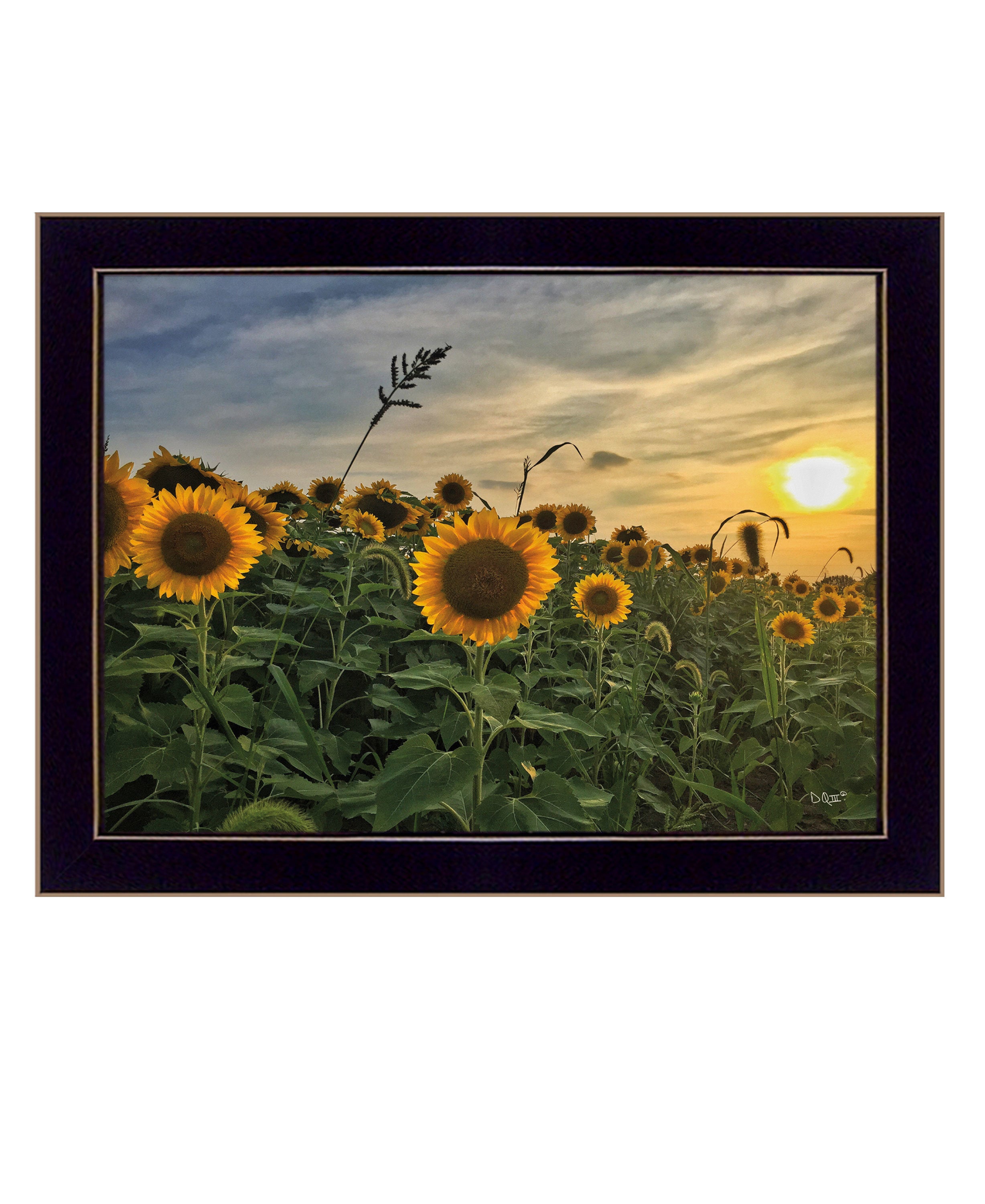"Midwest Living I" by Donnie Quillen, Ready to Hang Framed Print, Black Frame