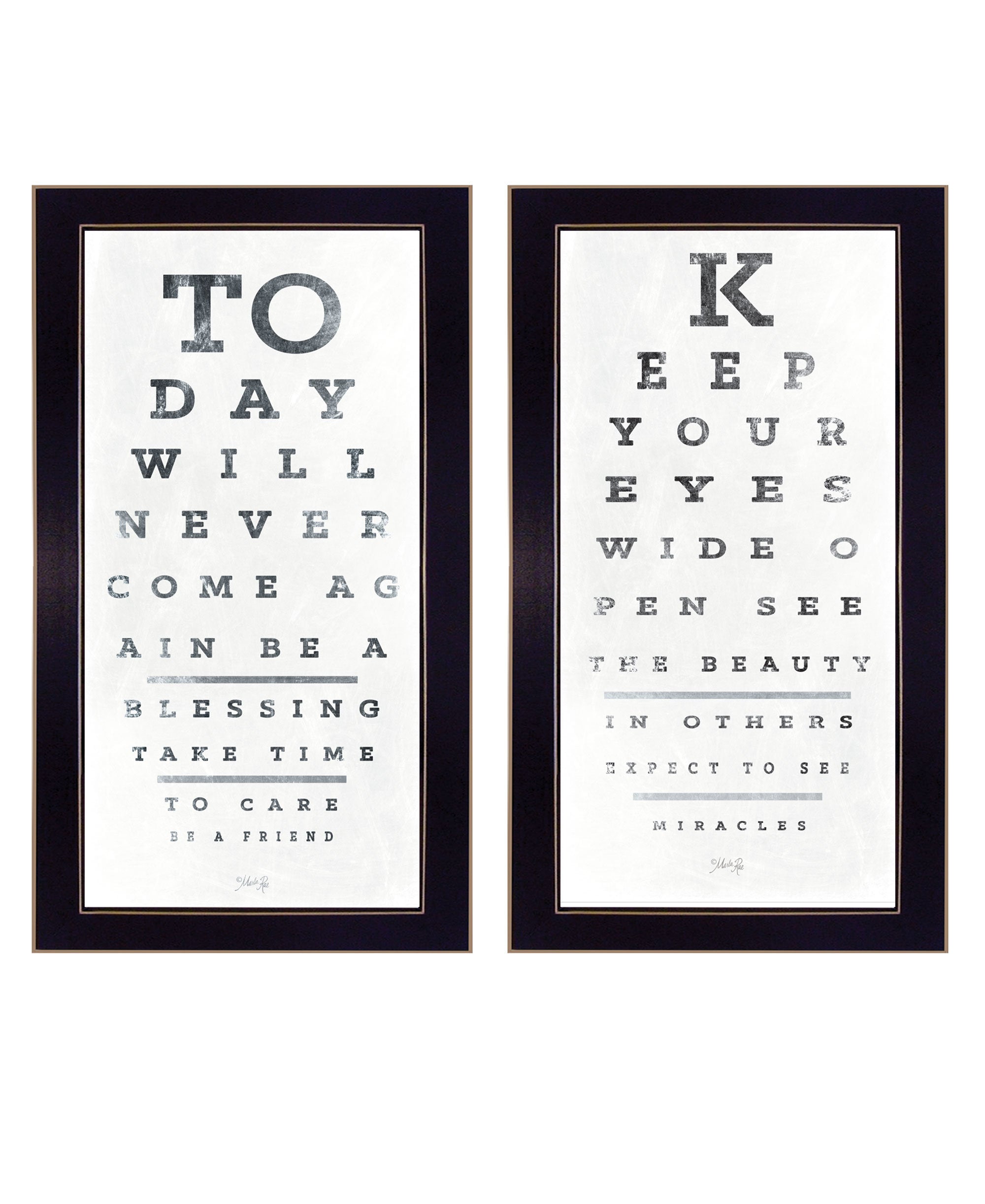 "Eye Charts" 2-Piece Vignette by Artisan Marla Rae, Ready to Hang Framed Print, Black Frame
