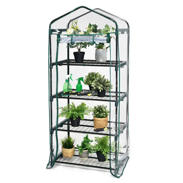 Garden Greenhouse Hot House Tomato Plant Warm House