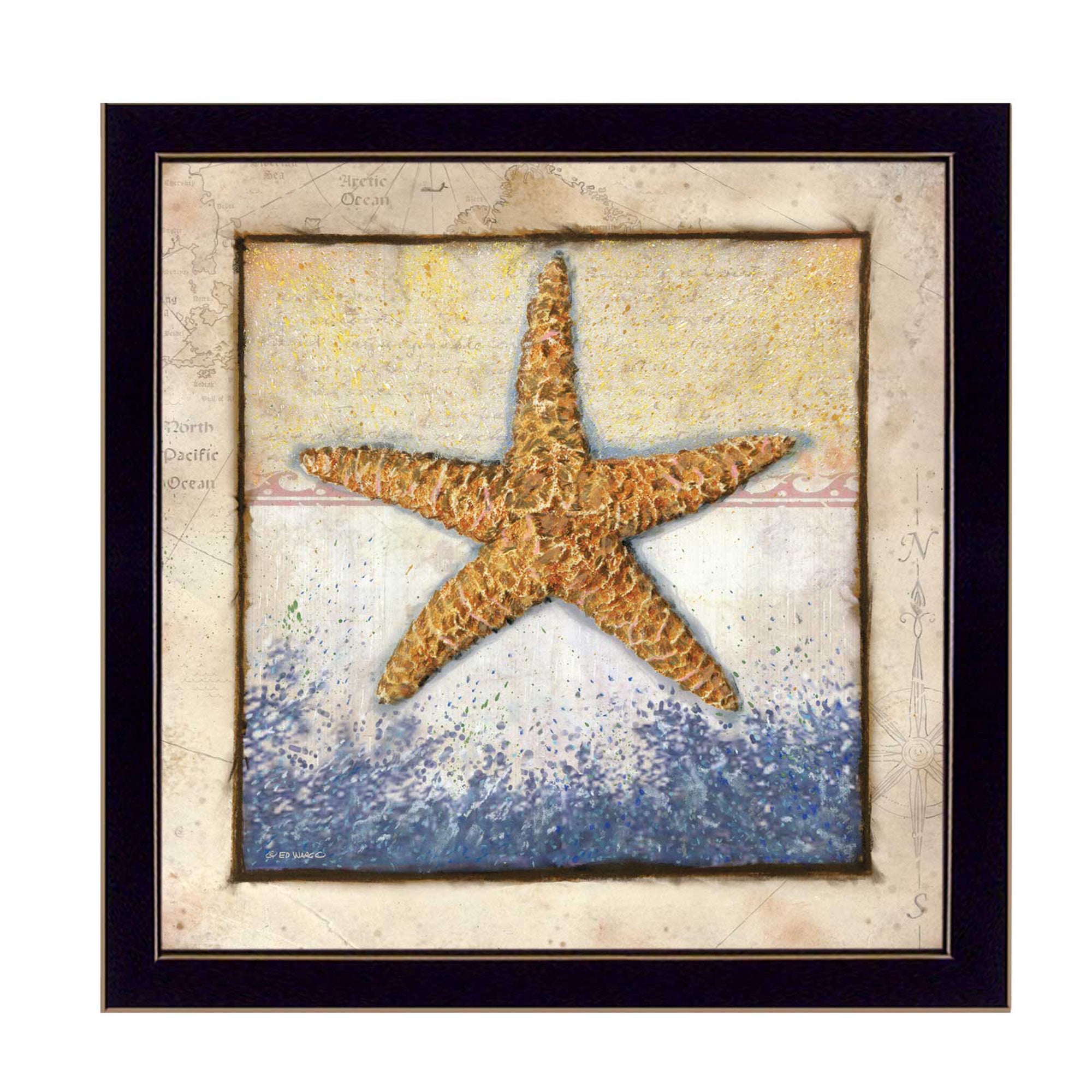 "Starfish" By Ed Wargo, Printed Wall Art, Ready To Hang Framed Poster, Black Frame