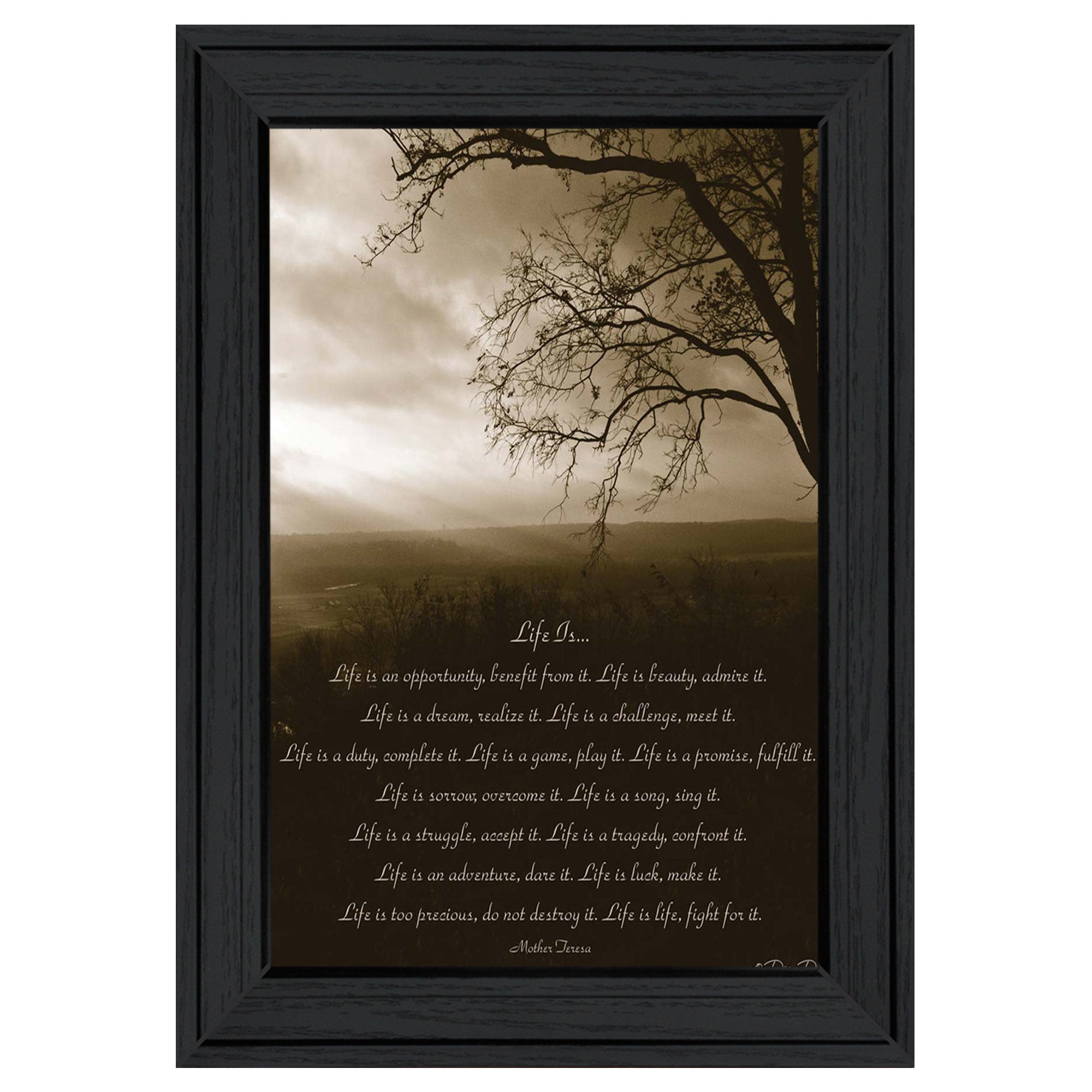 "Life is" By Dee Dee, Ready to Hang Framed Print, Black Frame