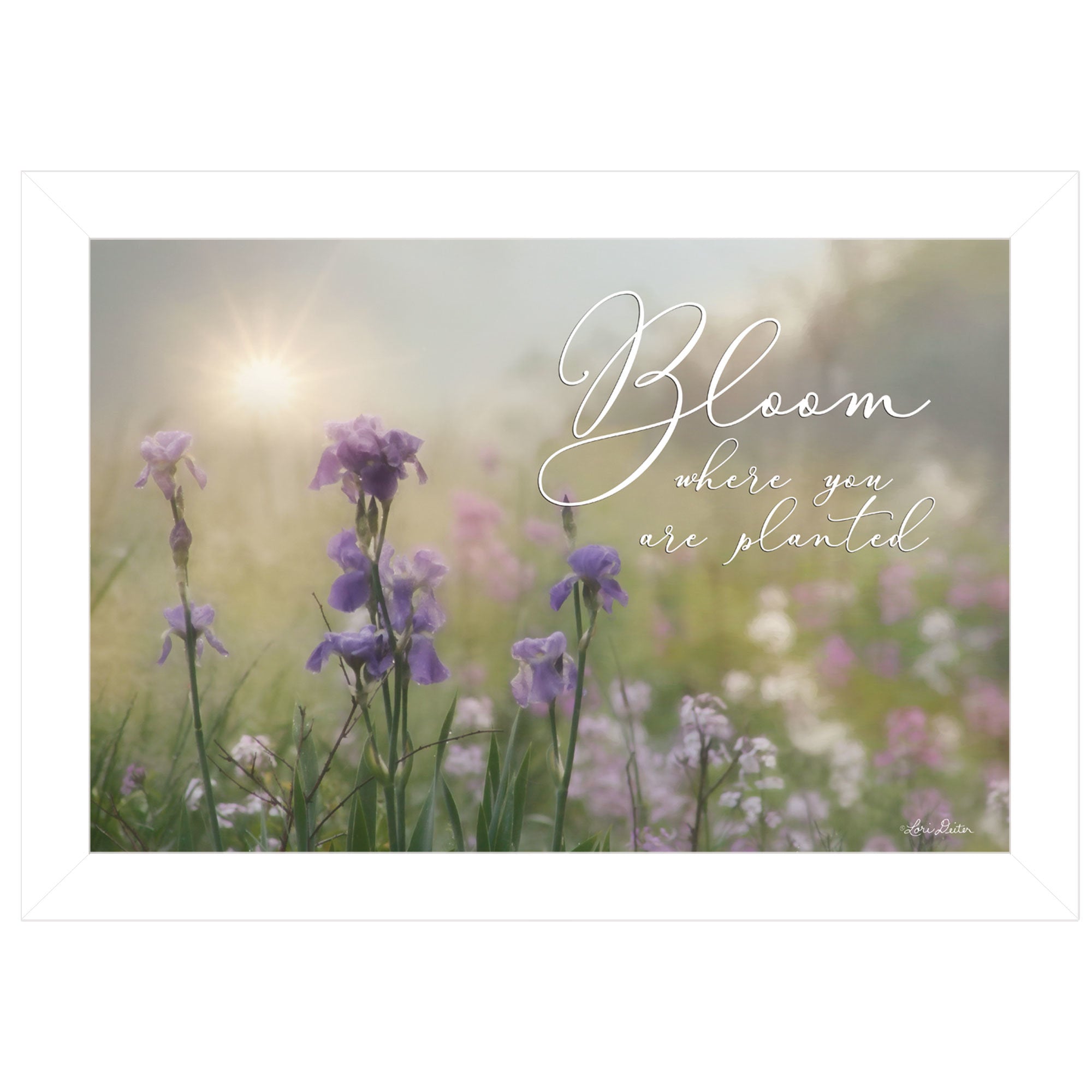"Bloom Where You are Planted" by Lori Deiter, Ready to Hang Framed Print, White Frame