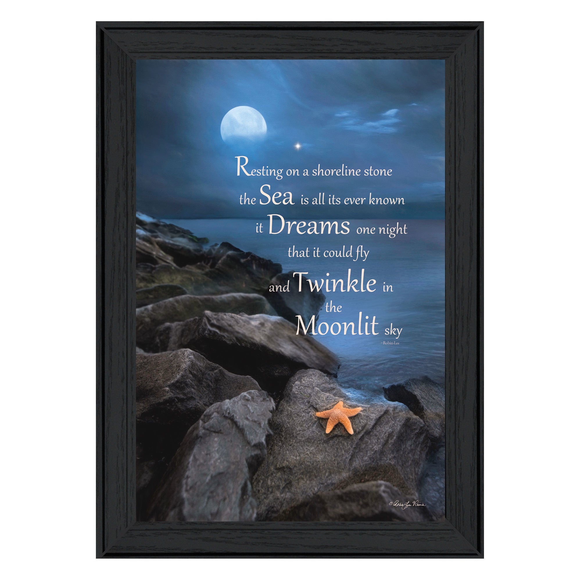 "The Dream" By Robin-Lee Vieira, Printed Wall Art, Ready To Hang Framed Poster, Black Frame