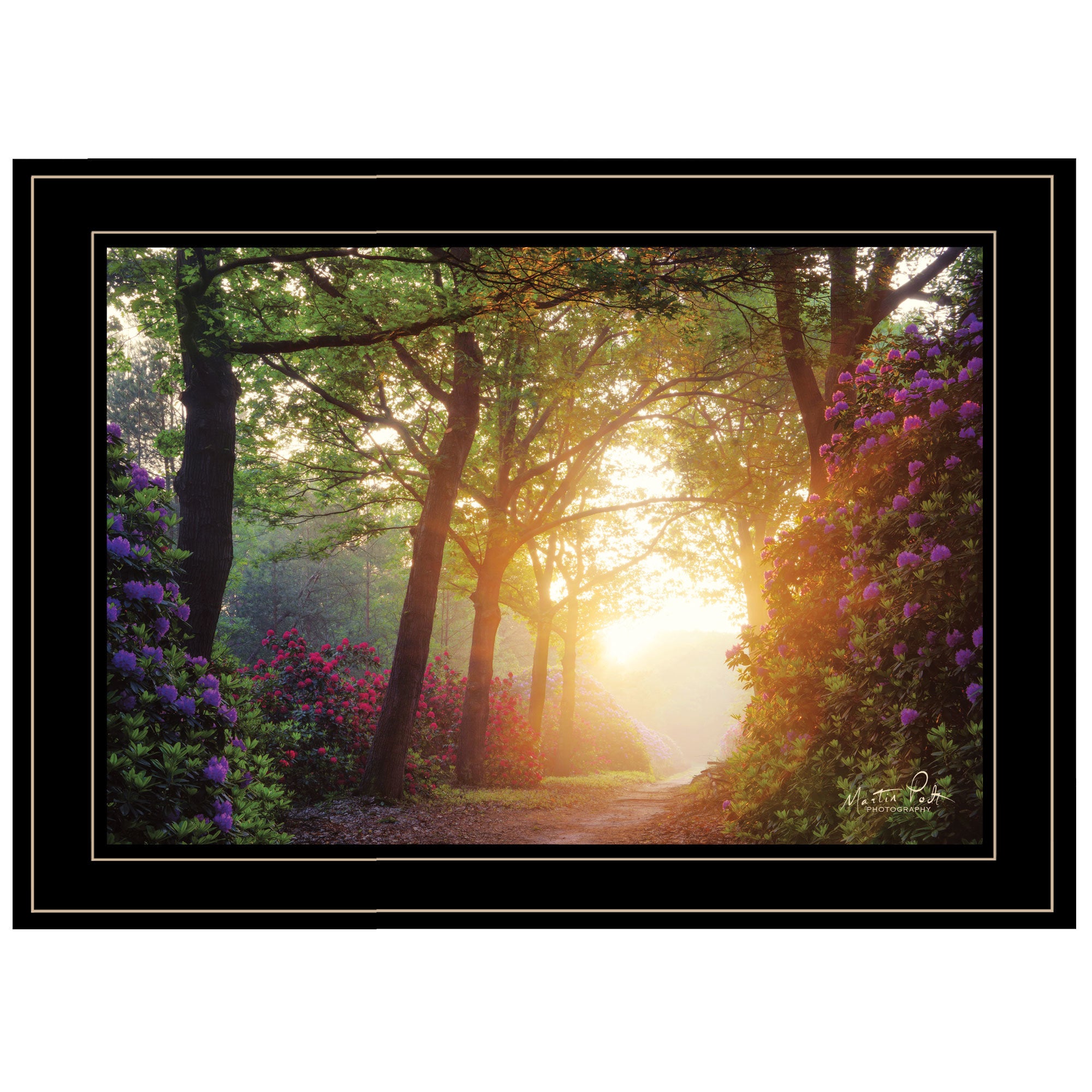 "Color Overdose" by Martin Podt, Ready to Hang Framed Print, Black Frame