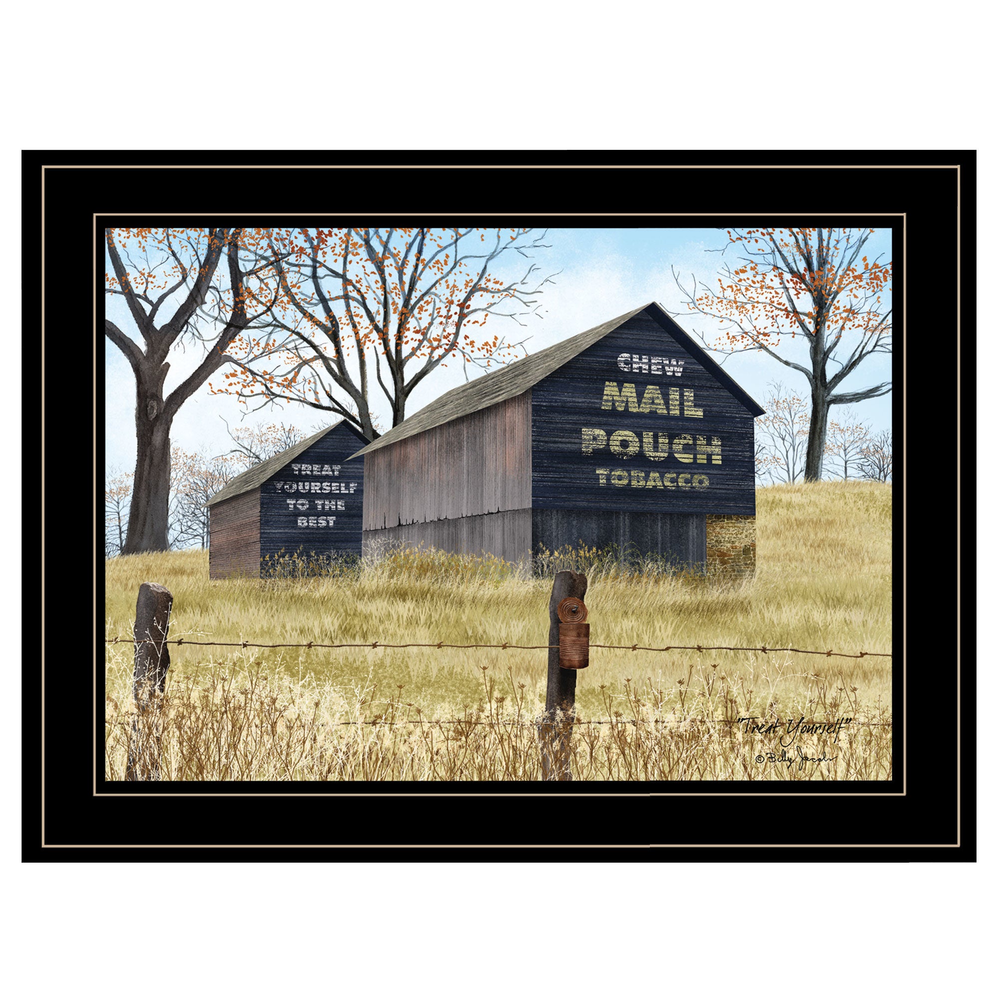 "Treat Yourself" (Mail Pouch Barn) by Billy Jacobs, Ready to Hang Framed Print, Black Frame
