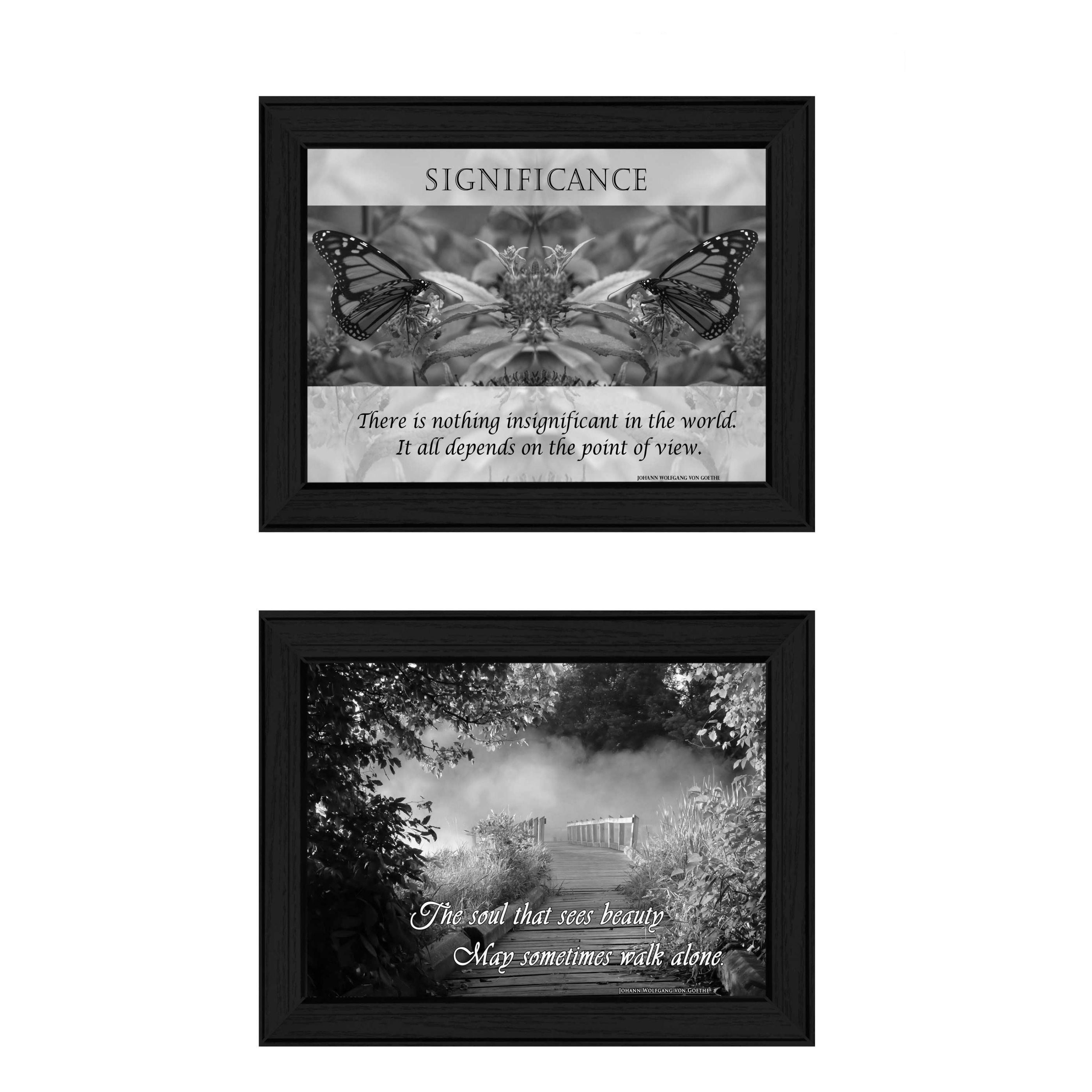 "Beauty Collection" 2-Piece Vignette By Trendy Decor4U, Printed Wall Art, Ready To Hang Framed Poster, Black Frame