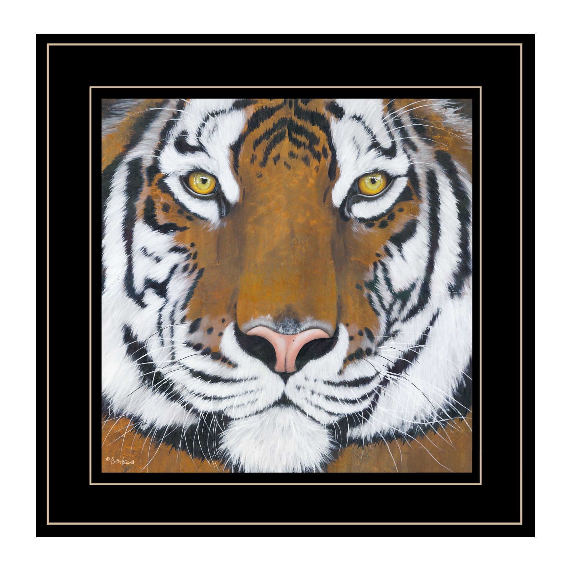 "Tiger Gaze" by Britt Hallowell, Ready to Hang Framed Print, Black Frame