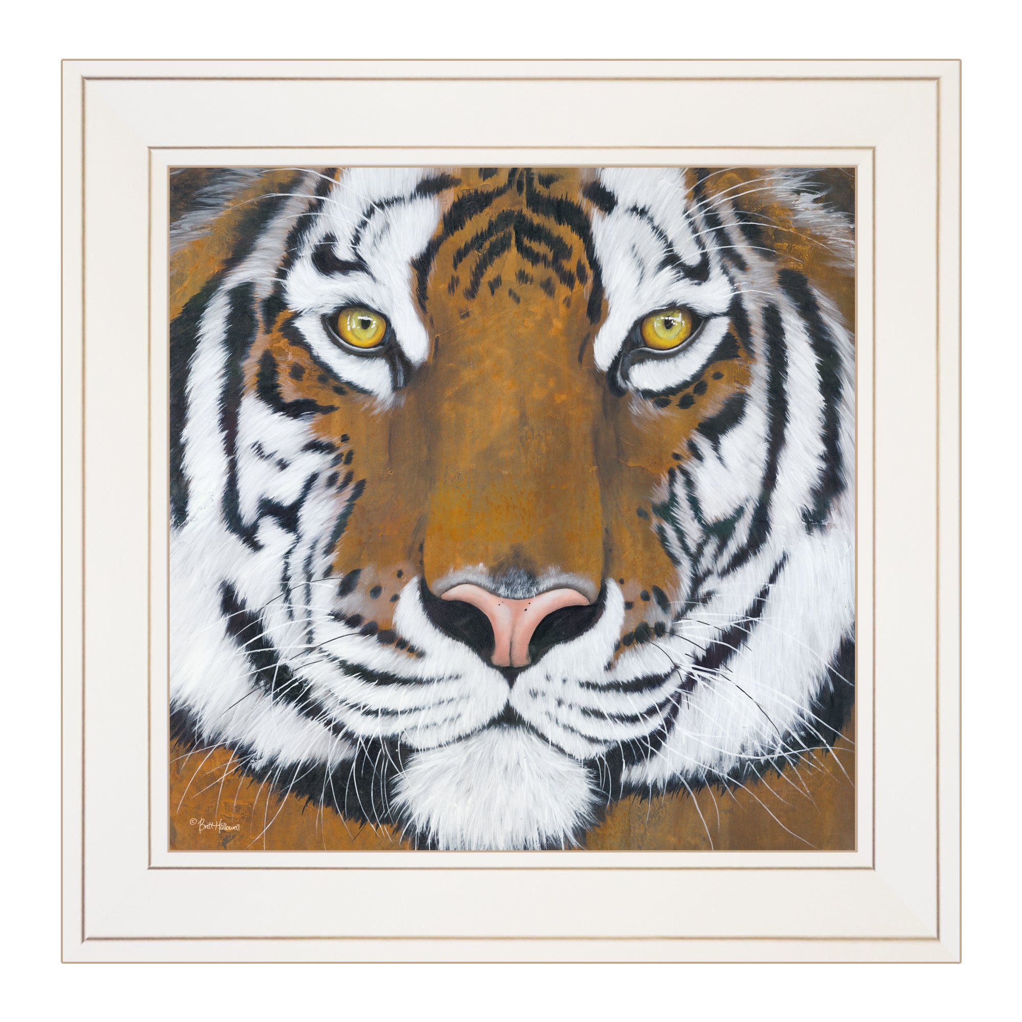 "Tiger Gaze" by Britt Hallowell, Ready to Hang Framed Print, White Frame