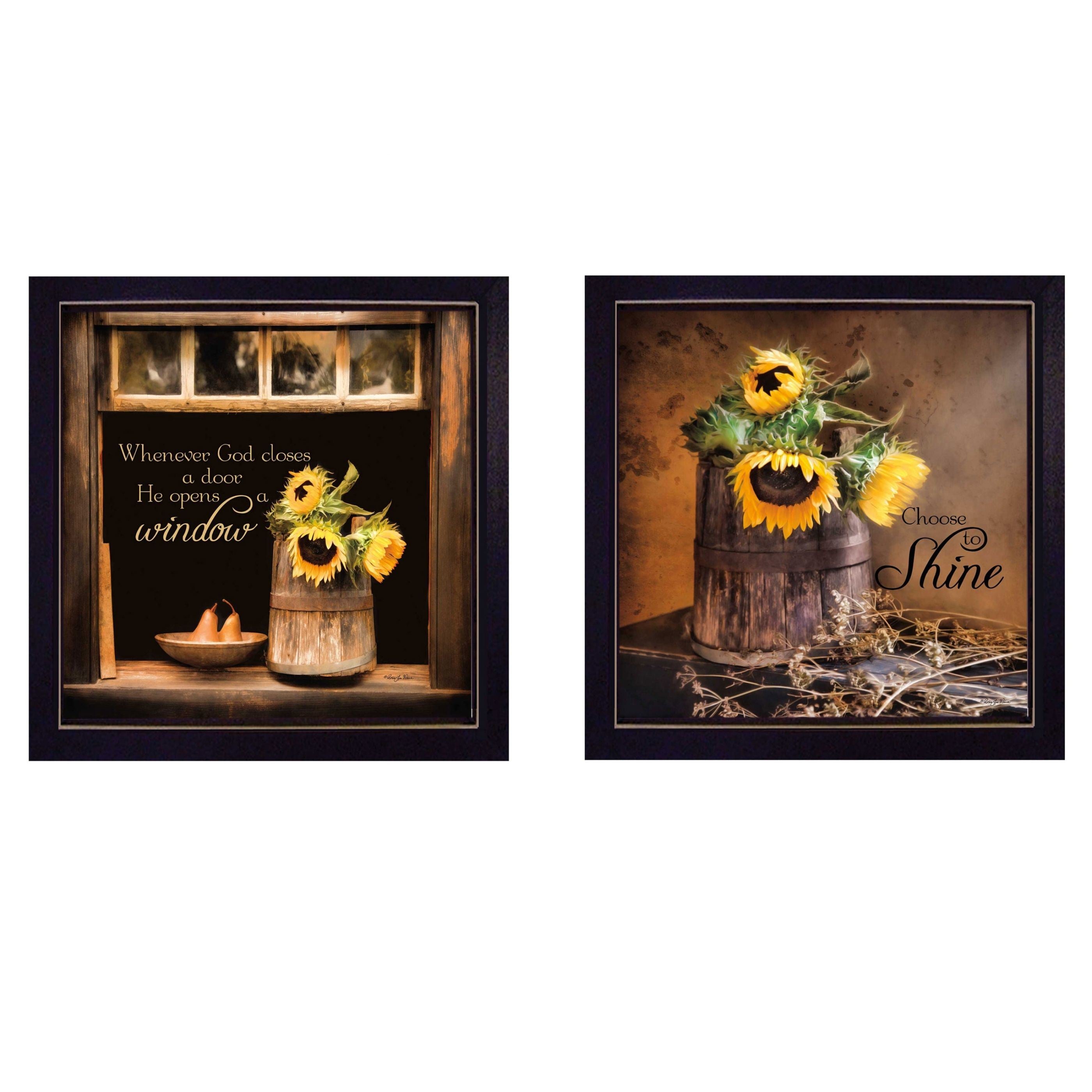 "Sunny Windows" 2-Piece Vignette by Robin-Lee Vieira, Black Frame