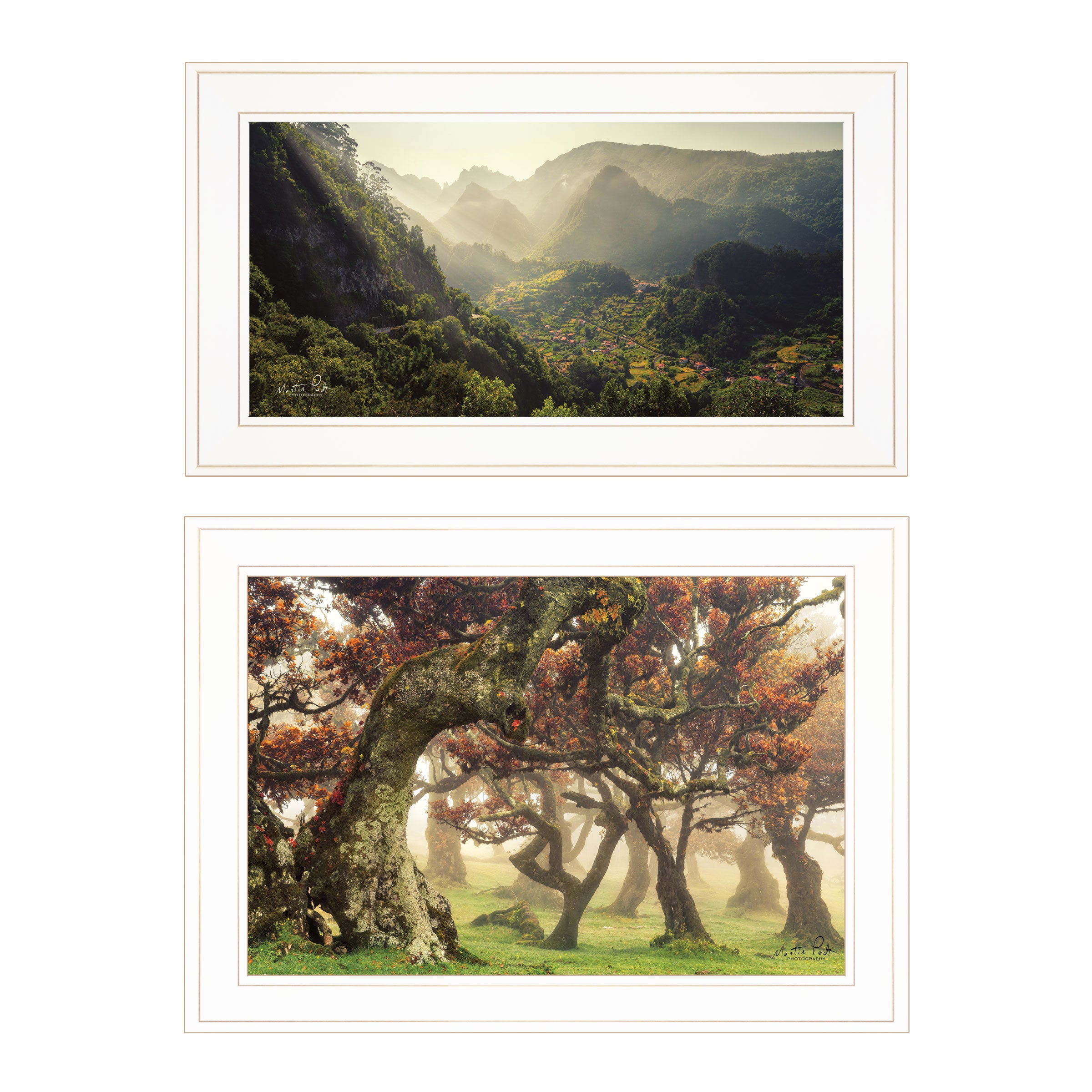 "The Land of Hobbits" 2-Piece Vignette by Martin Podt, White Frame