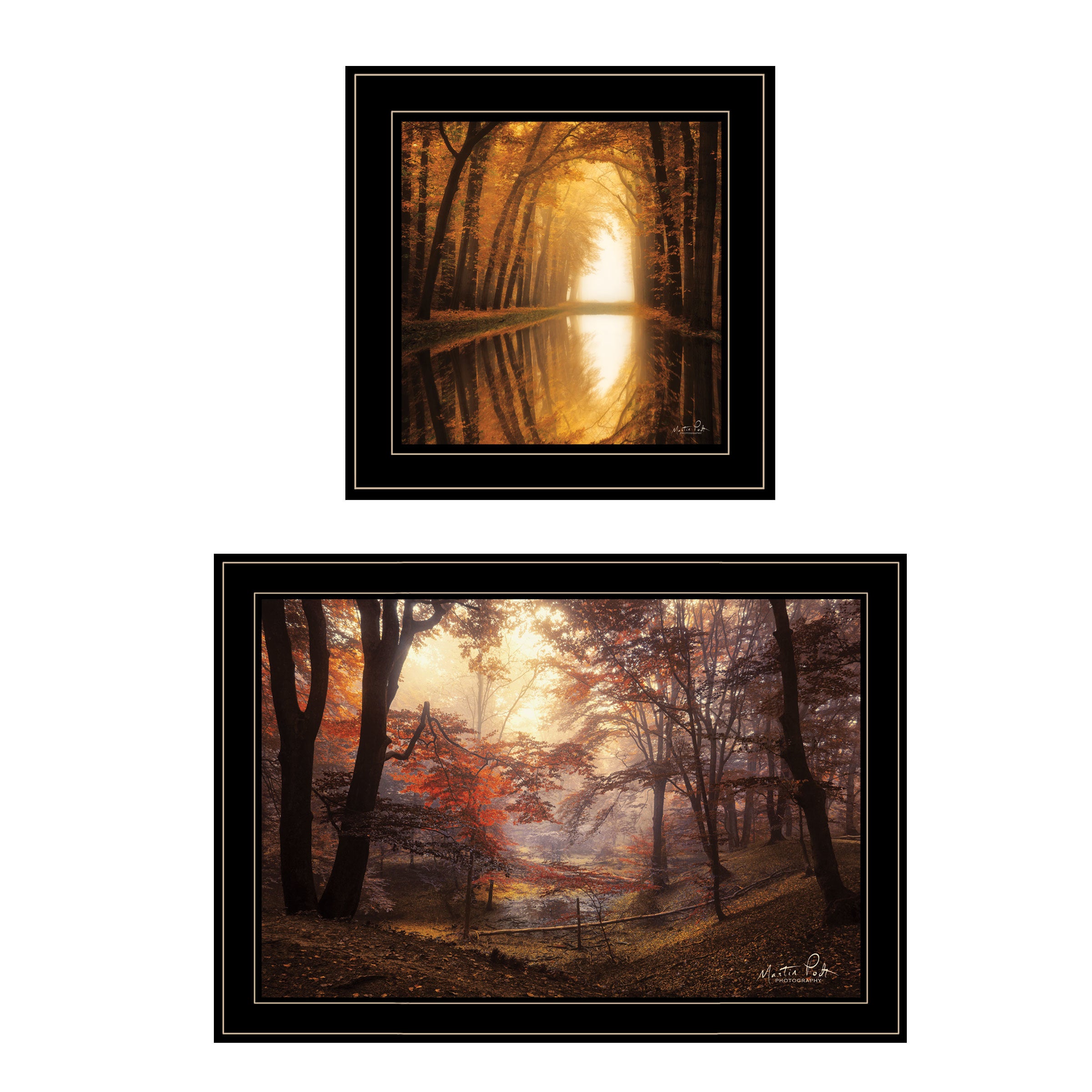 "Nature's Reflections" 2-Piece Vignette by Martin Podt, Black Frame