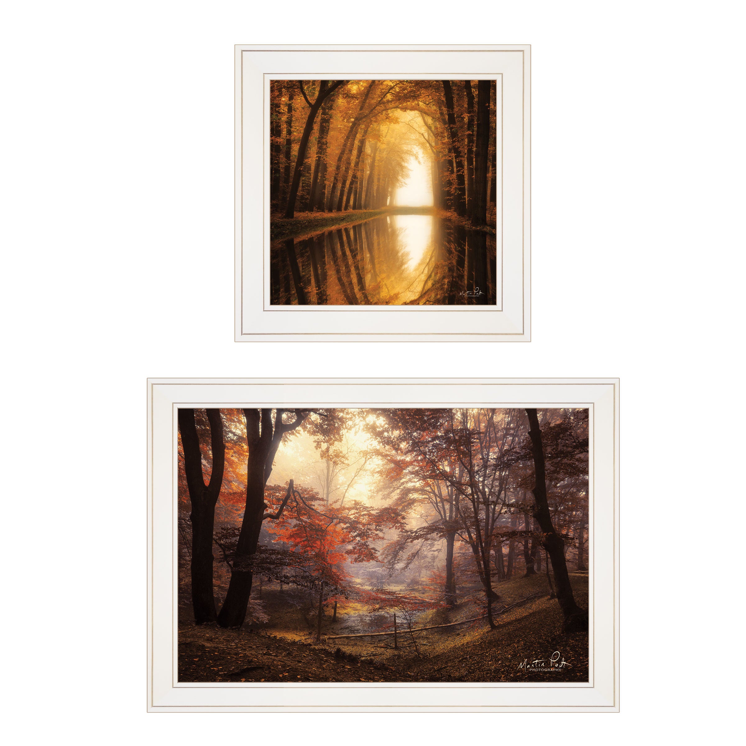 "Nature's Reflections" 2-Piece Vignette by Martin Podt, White Frame