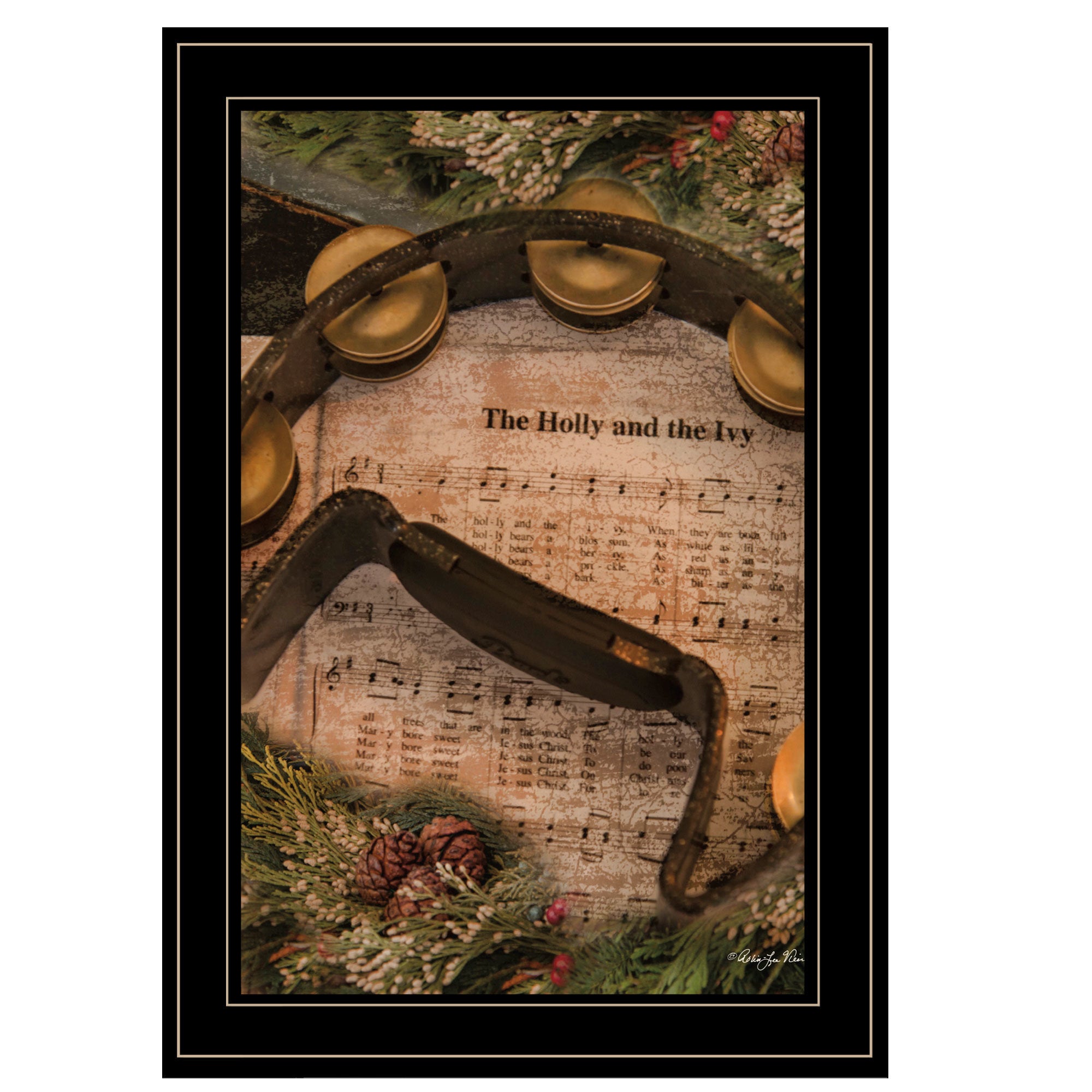 "Holly & Ivy" by Robin Lee Vieria Ready to Hang Framed Print, Black Frame