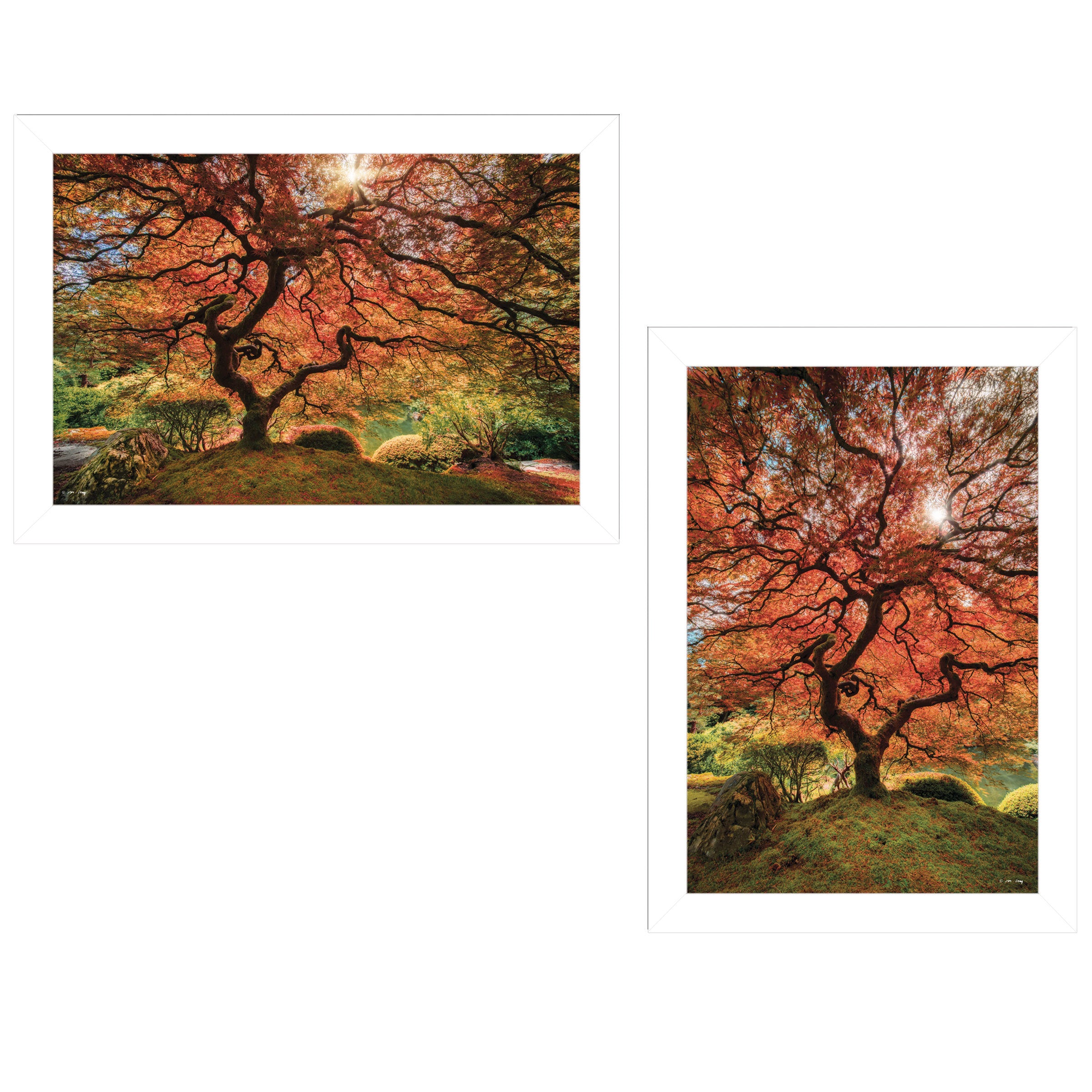 "First Colors of Fall I" 2-Piece Vignette by Moises Levy, White Frame