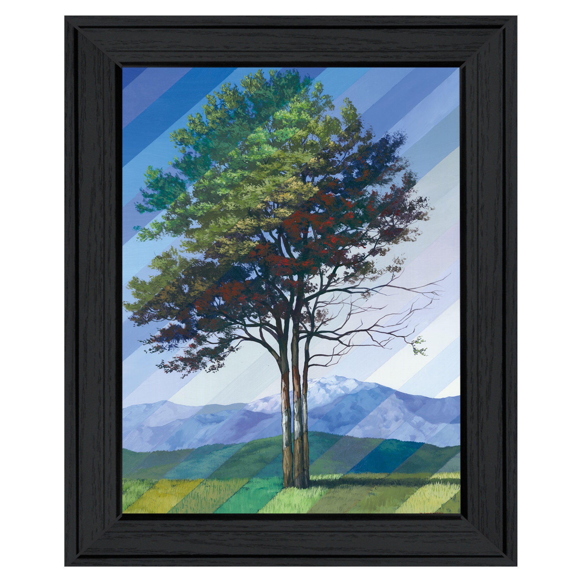 "Catching Light as Time Passes" by Tim Gagnon, Ready to Hang Framed Print, Black Frame