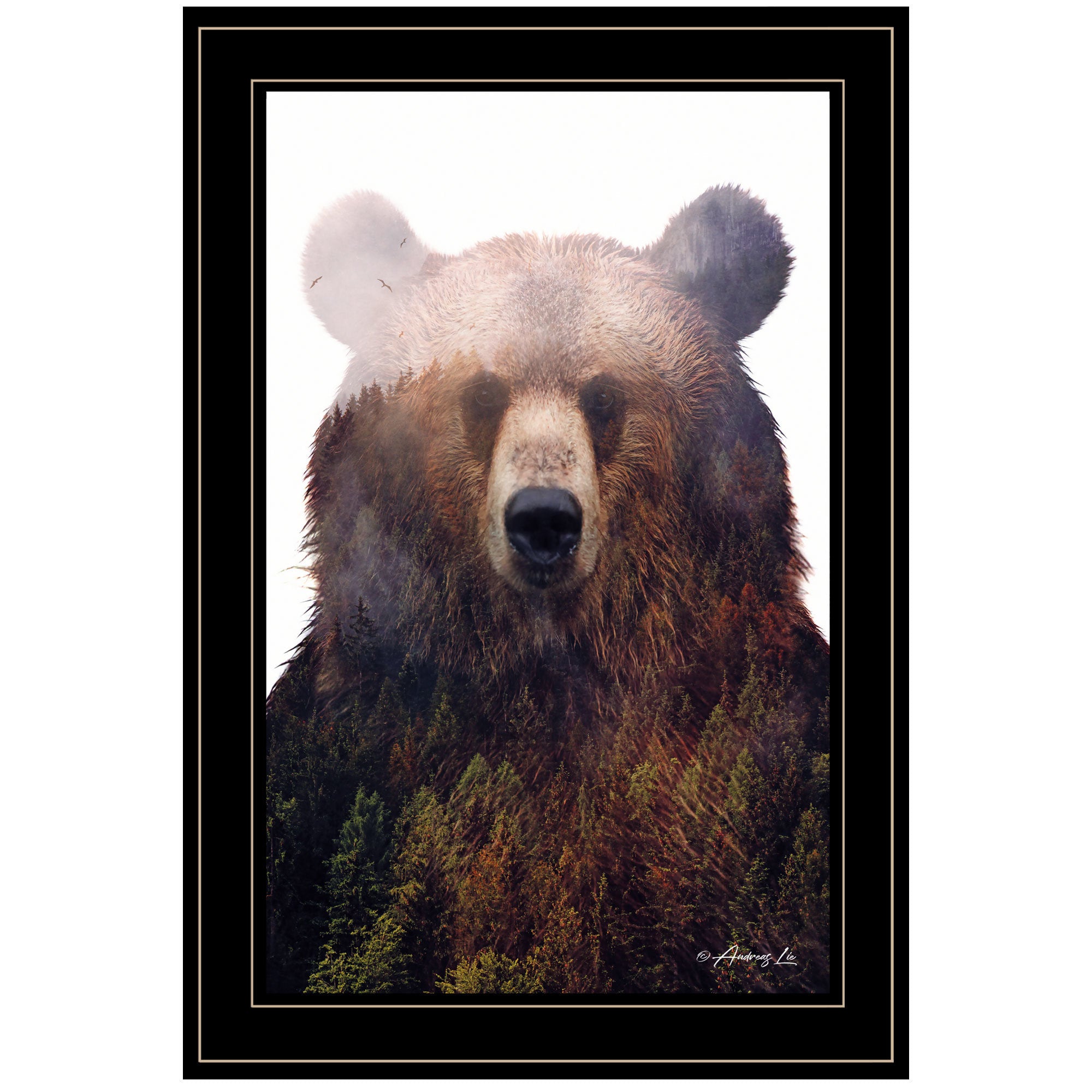 "King of the Forest" by Andreas Lie, Ready to Hang Framed Print, Black Frame