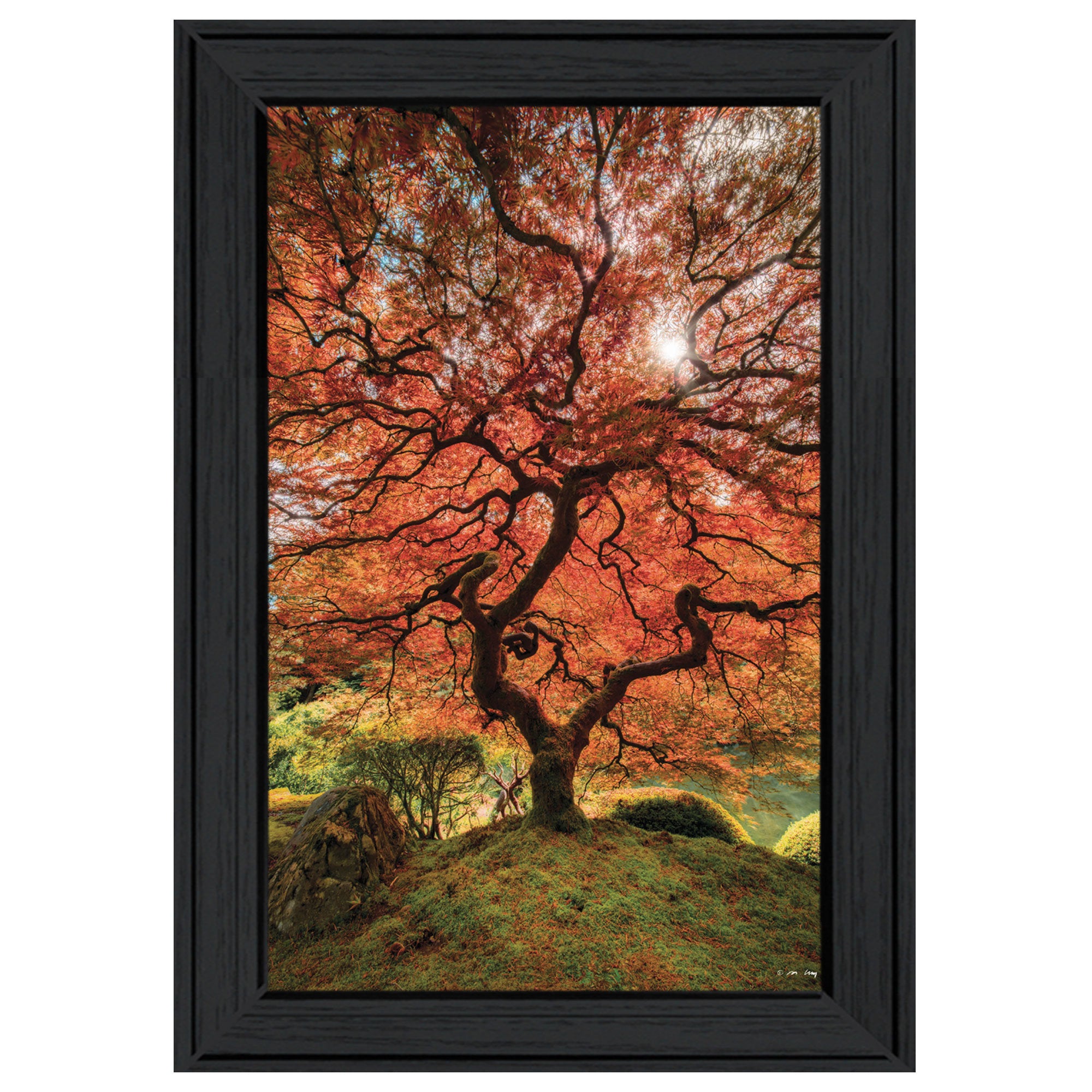 "First Colors of Fall II" by Moises Levy, Ready to Hang Framed Print, Black Frame
