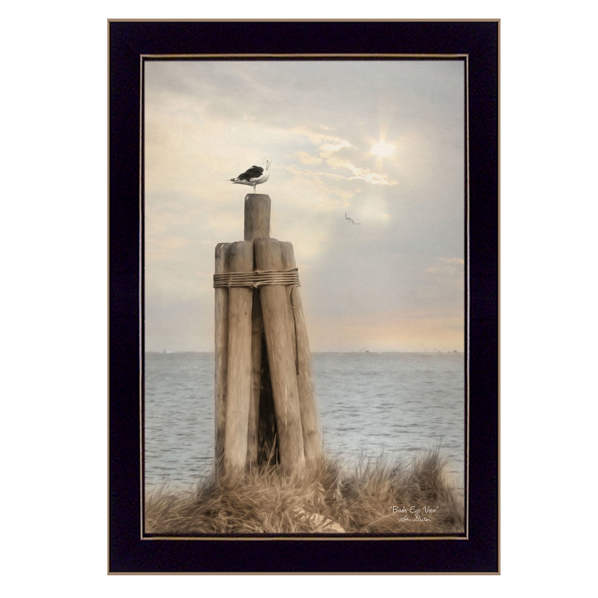 "Birds Eye View" By Lori Deiter, Printed Wall Art, Ready To Hang Framed Poster, Black Frame