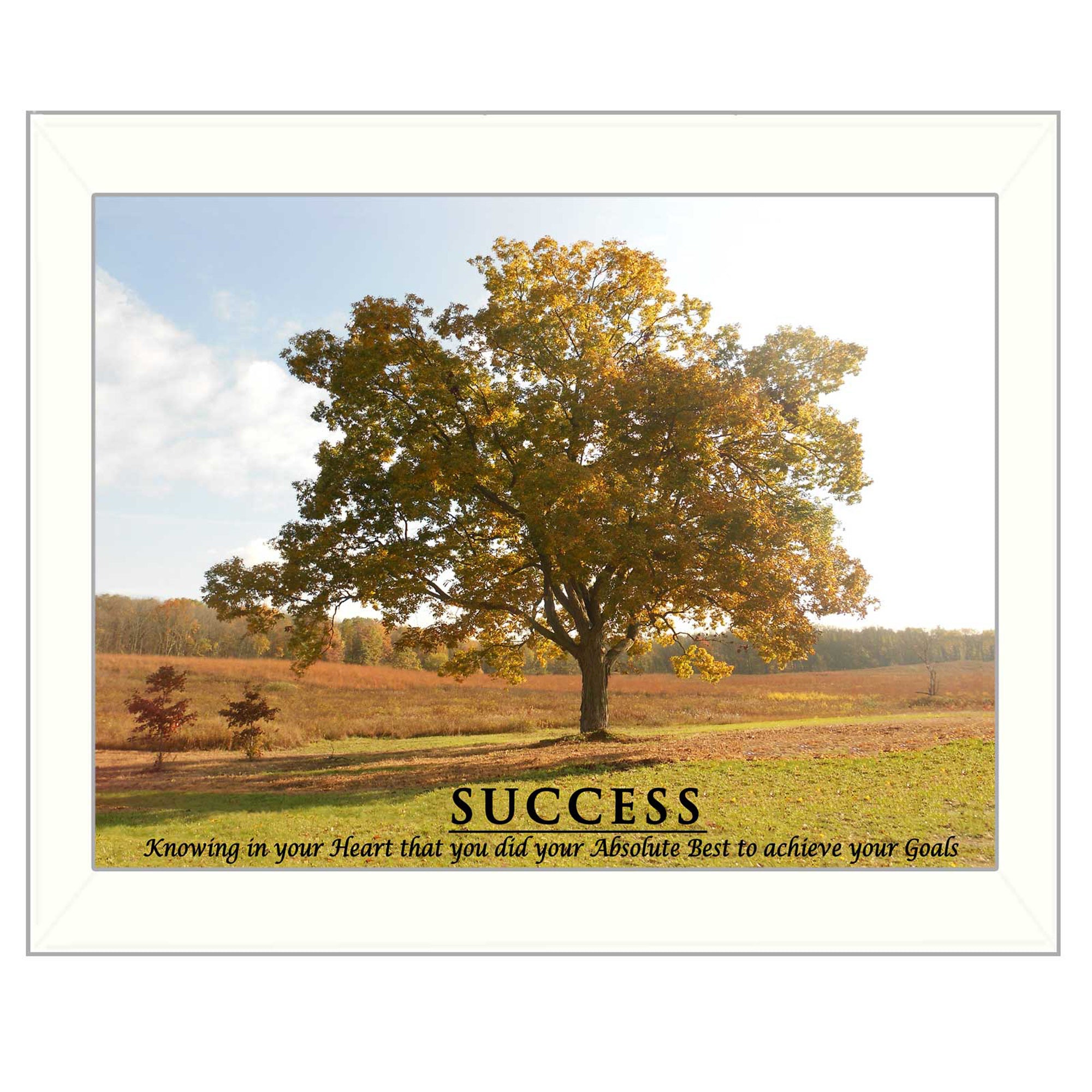 "Success" By Trendy Decor4U, Printed Wall Art, Ready To Hang Framed Poster, White Frame